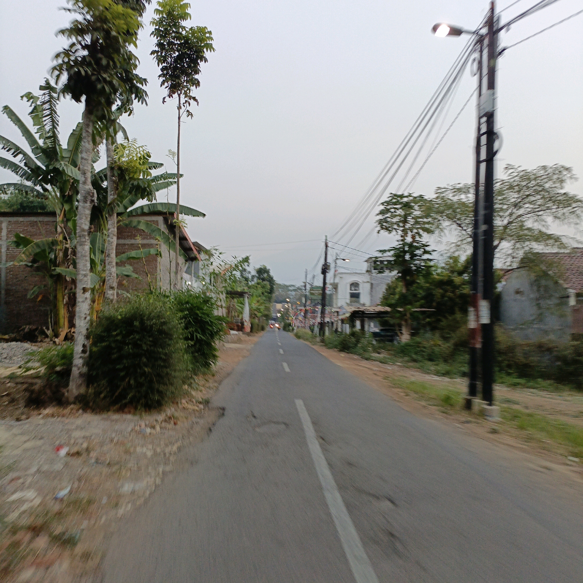 The image depicts a street scene in Salatiga, Indonesia, likely captured during the late afternoon or early evening due to the diffused lighting and the illuminated streetlamp. The perspective is from a moving vehicle, indicated by motion blur in the foreground and along the edges of the road.
The road itself is asphalt, marked with a white dashed line down the center and a solid white line to the right. The road surface appears slightly worn with some minor imperfections. On the left side of the road, there is a dirt shoulder with some scattered debris. Beyond the shoulder, there are several large trees, including banana trees with their characteristic broad leaves, and other leafy trees. Adjacent to the trees, there are brick buildings with tiled roofs, suggesting residential or small commercial structures. A dense green bush is prominent in the mid-left foreground.
On the right side of the road, a tall, dark utility pole with a lit streetlamp is a significant feature. Multiple power lines stretch from this pole, crisscrossing the sky. Further down the road on the right, there are more buildings, including one with a distinctive arched window. The street is lined with vegetation and trees on both sides, contributing to a semi-rural or suburban atmosphere. In the distance, the road appears to curve and ascend slightly, with more buildings and lights visible, hinting at a populated area ahead. Small flags or banners are also visible strung across the road in the middle distance, possibly for a local event or celebration. No people are clearly visible in the image. The overall environment is one of a moderately developed street in a tropical or subtropical region.
