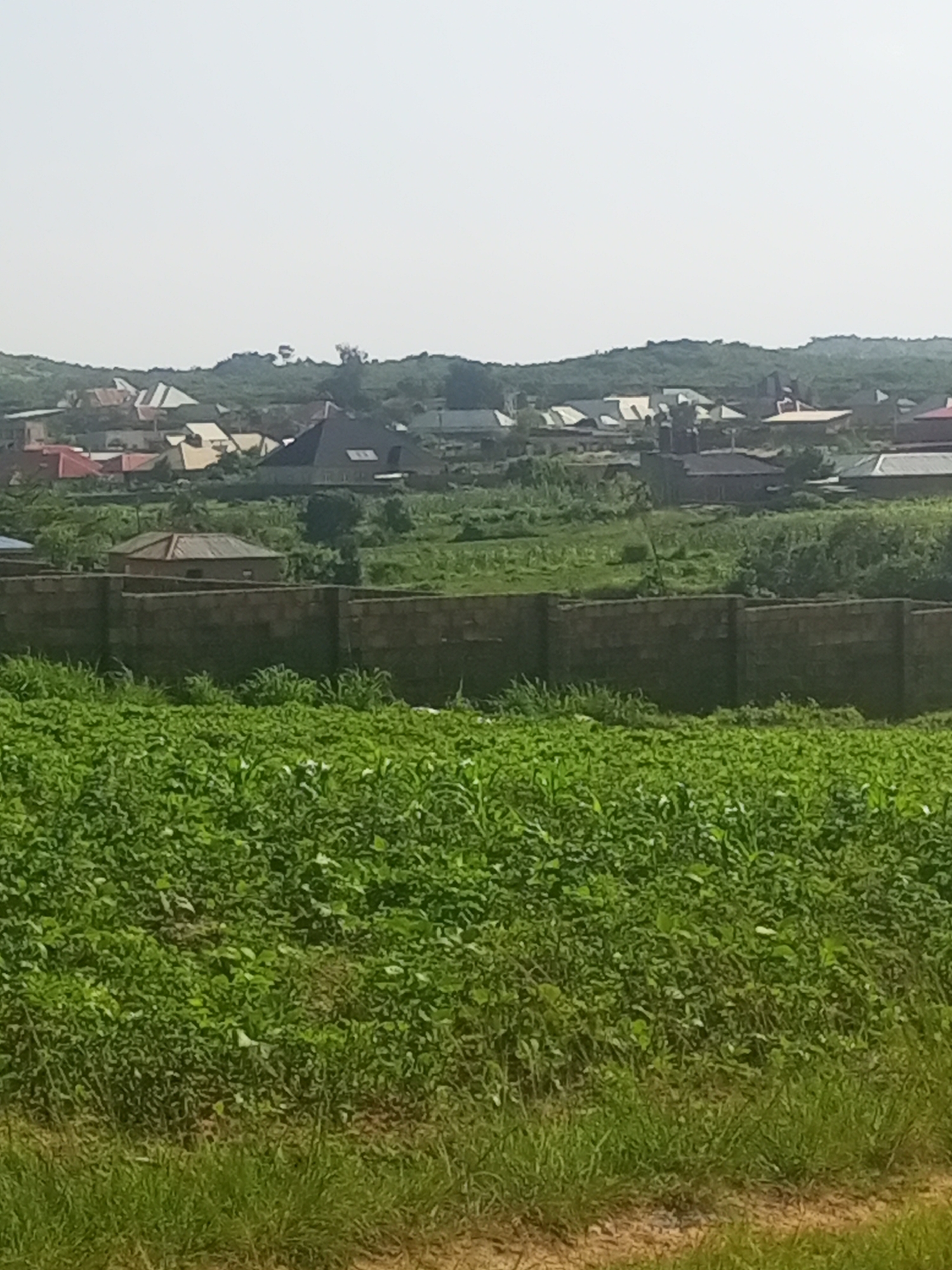 A wide, outdoor, high-angle shot shows a landscape in Jos, Nigeria, dominated by lush green vegetation in the foreground. A low, brick wall runs horizontally across the middle ground, dividing the scene. Beyond the wall, more green foliage and scattered buildings are visible, with a cluster of houses featuring modern, angular roofs in the distance. The background consists of gently rolling hills covered in greenery, and the sky is a hazy, pale blue, indicating a bright but possibly overcast day.