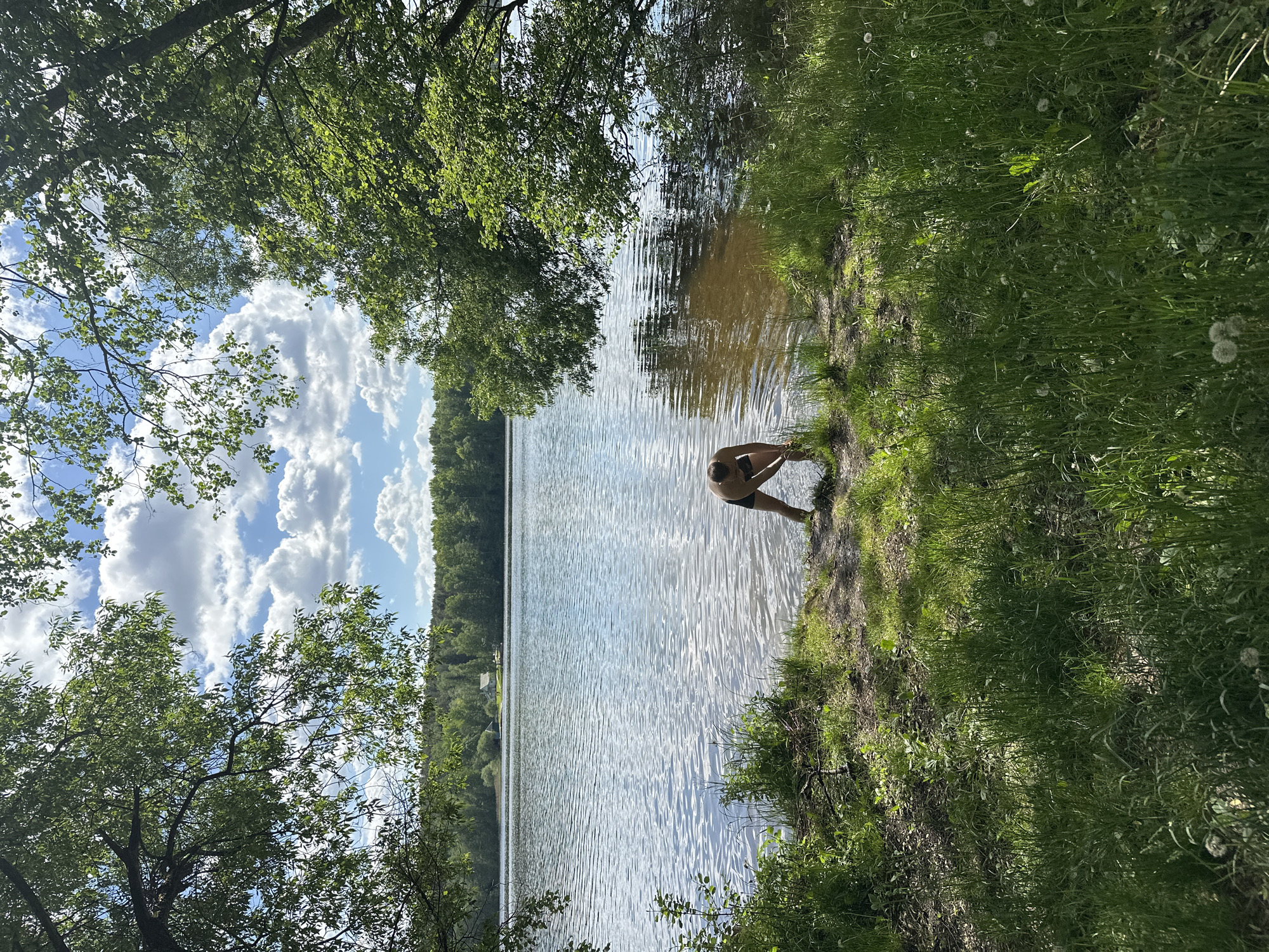 A person stands at the edge of a body of water on a sunny day. The person is fair-skinned and wears dark swimwear. The shoreline is covered with grass and plants. On the opposite shore, trees line the land. The sky is visible through the trees, showing blue sky and white clouds. The location appears to be in Папярнянскі сельскі Савет, Belarus, judging by the local vegetation and landscape.