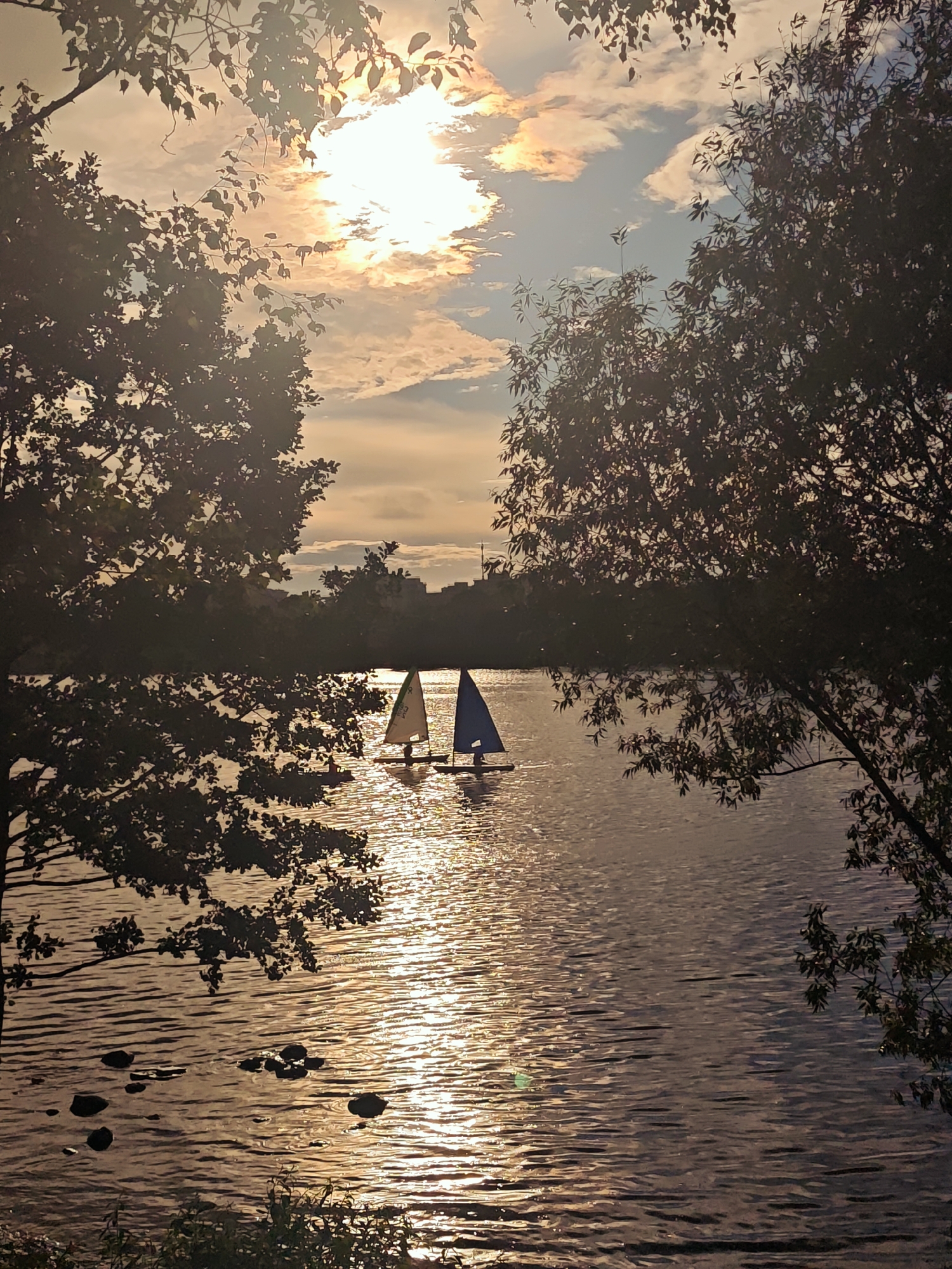 This is a photograph of the Volga River in Dubna, Russia, taken at sunset. The sky is filled with dramatic clouds, with the sun partially obscured by them, casting a golden light across the water. Silhouetted trees frame the scene on either side, with their leaves appearing dark against the bright sky. In the middle of the river, two small sailboats are visible, their sails catching the light. The water is calm, with ripples reflecting the sunset colors. A few dark rocks are partially submerged near the foreground on the left side of the river. In the distance, the silhouette of buildings can be seen along the horizon.