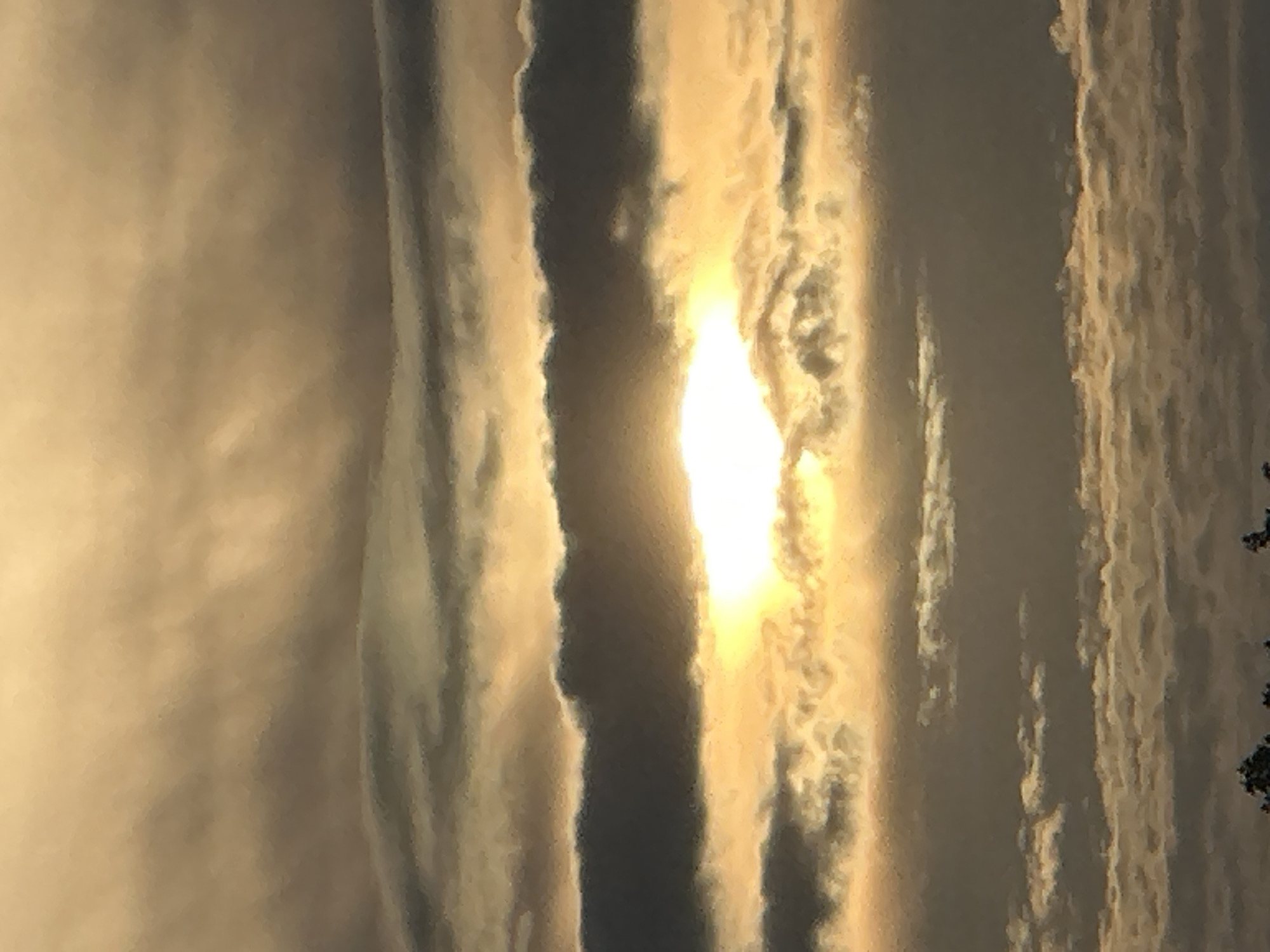 The image shows a sky filled with clouds and the sun shining through a gap in the clouds. The sky is a mixture of golden and gray hues, suggesting either a sunrise or sunset. The clouds are layered and appear textured. At the bottom of the image, the dark silhouettes of treetops are visible. The scene is natural and atmospheric. No specific location in Nizhny Novgorod, Russia, can be determined from the image.