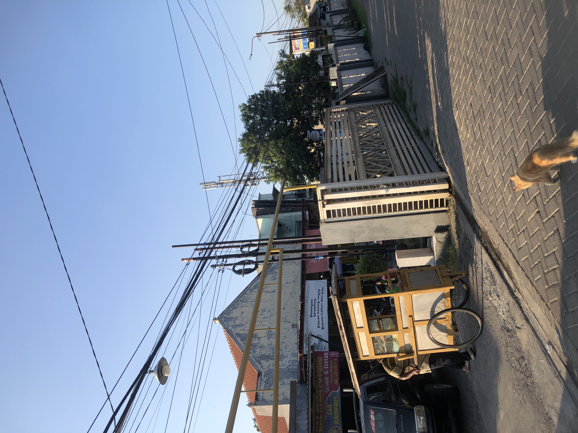 The image depicts a street scene in Kalisampurno, Indonesia, under a clear blue sky. In the foreground, a light brown cat with a white tail walks on a paved sidewalk. To the left, a man stands next to a food cart with a yellow and silver structure, a large wheel, and a canopy. The cart contains various items, possibly food or drinks. Behind the cart, a dark-colored van is parked. Further back, a building with a peeling facade and an orange tiled roof is visible, with signage indicating a pet shop and a food stall. Electrical wires crisscross overhead, supported by poles. A cell tower is also visible in the distance, along with trees and other buildings. The street is paved with interlocking bricks, and the scene is illuminated by sunlight, casting shadows.
