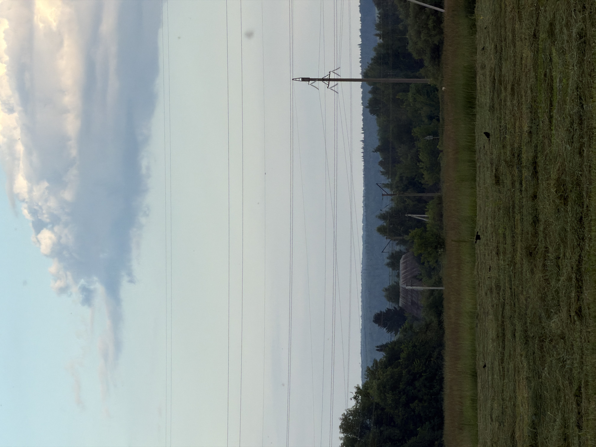 The image depicts a rural landscape in Bol'shaya Ven'ya, Russia. A mown field occupies the foreground, with rows of cut grass visible. Several dark-colored birds are present in the field. In the middle ground, a row of trees forms a dark line, behind which a large building with a rustic, sloping roof is partially visible. Further back, a dense forest stretches across the horizon. Several power lines are strung horizontally across the sky. A tall, lattice-style power pylon stands on the right side of the frame. The sky above is a pale blue with scattered white and gray clouds. The overall scene suggests a quiet, possibly agricultural, area.