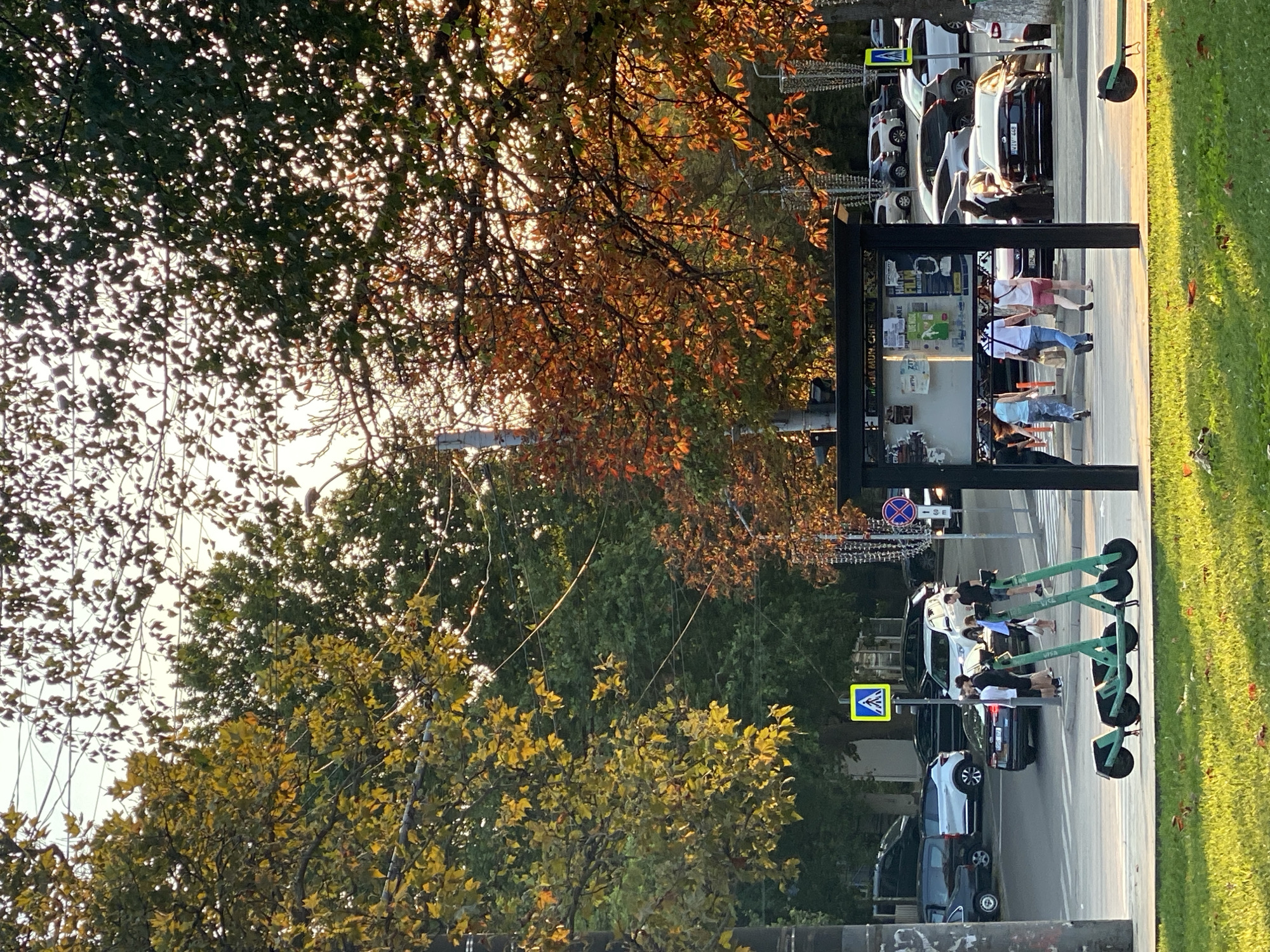 The image captures a street scene in Chișinău, Moldova, during the autumn. In the foreground, a patch of green grass is illuminated by the warm, low-angled sunlight, with fallen leaves scattered on it. A row of three green electric scooters is parked on the sidewalk.
Behind the scooters, a street with cars and pedestrians unfolds. Several cars are parked on the side of the road, including a black sedan with a license plate starting with "KIV" and a white SUV. A group of people are crossing the street at a crosswalk, marked by a pedestrian crossing sign. Another sign with a blue circle and a red border is visible further down the street.
The background is dominated by trees with foliage in various stages of autumn color, ranging from vibrant yellow and green to reddish-brown. Power lines are visible crisscrossing between the trees. A bus stop shelter with advertisements is also present. The overall impression is a typical urban scene in Chișinău, reflecting the city's autumnal ambiance.