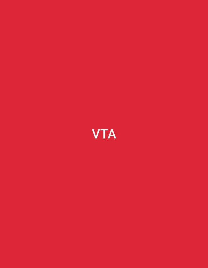 The image displays a flat, uniform red background with the white capital letters "VTA" centrally positioned. The red color is consistent across the entire frame. There are no discernible people, subjects, additional objects, actions, or interactions depicted. The environment consists solely of this solid color field. There are no visual cues or identifying markers present in the image to indicate a specific geographic location, including Casablanca, Morocco.