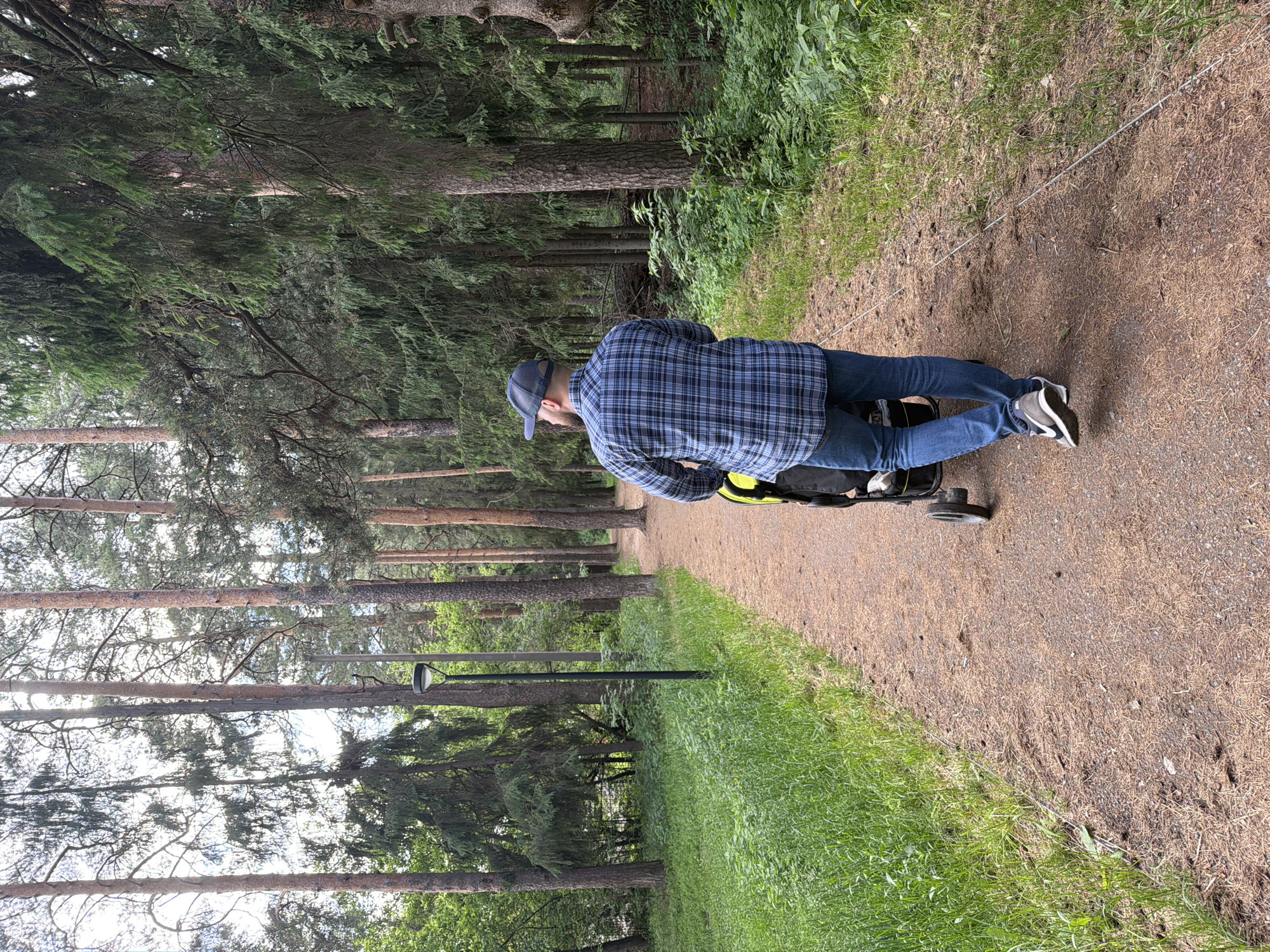 A man wearing a blue plaid shirt, jeans, a baseball cap, and gray/white sneakers pushes a baby stroller down a dirt path lined with tall pine trees. The path is bordered by grass on one side. A black lamppost stands along the path. The scene appears to be in a park or wooded area. The location is Votkinsk, Russia.