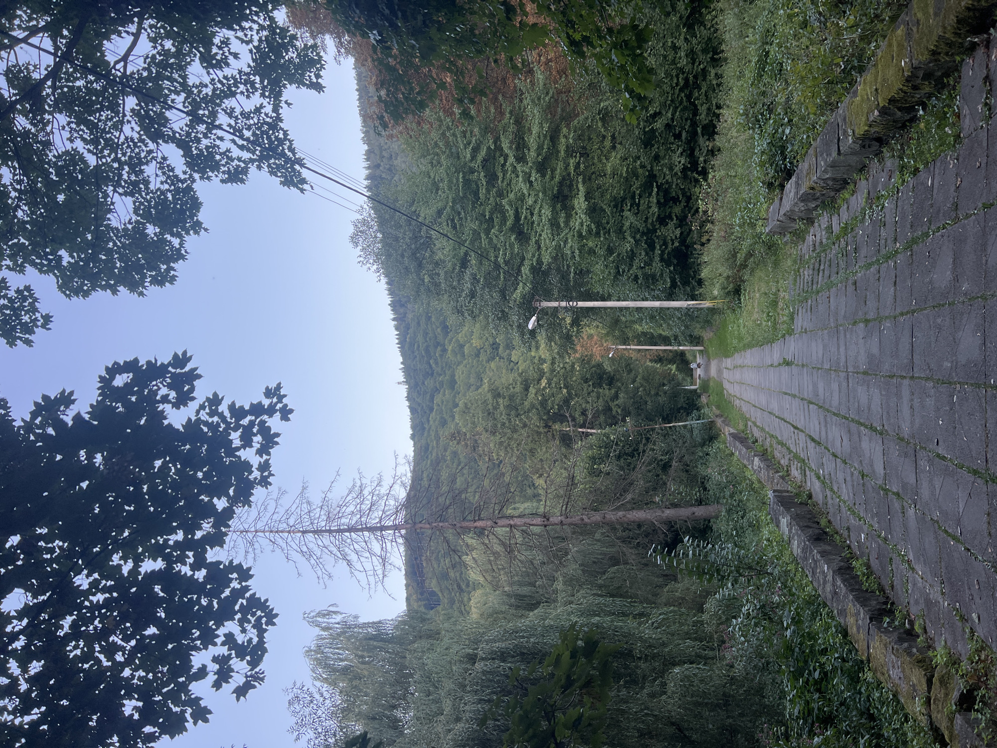 A stone-paved pathway lined with moss-covered stone walls leads uphill through a verdant forest in Yaremche, Ukraine. The path is flanked by lush green foliage and trees, with a prominent dead tree standing tall amongst the greenery in the mid-ground. In the distance, a gentle slope of forested hills rises towards a pale blue sky. Overhead, power lines stretch across the frame, and a single lamppost stands beside the path, indicating a maintained area. A solitary figure is visible walking up the path in the far distance, suggesting a public or recreational space. The overall atmosphere is one of natural tranquility and a touch of rustic charm.