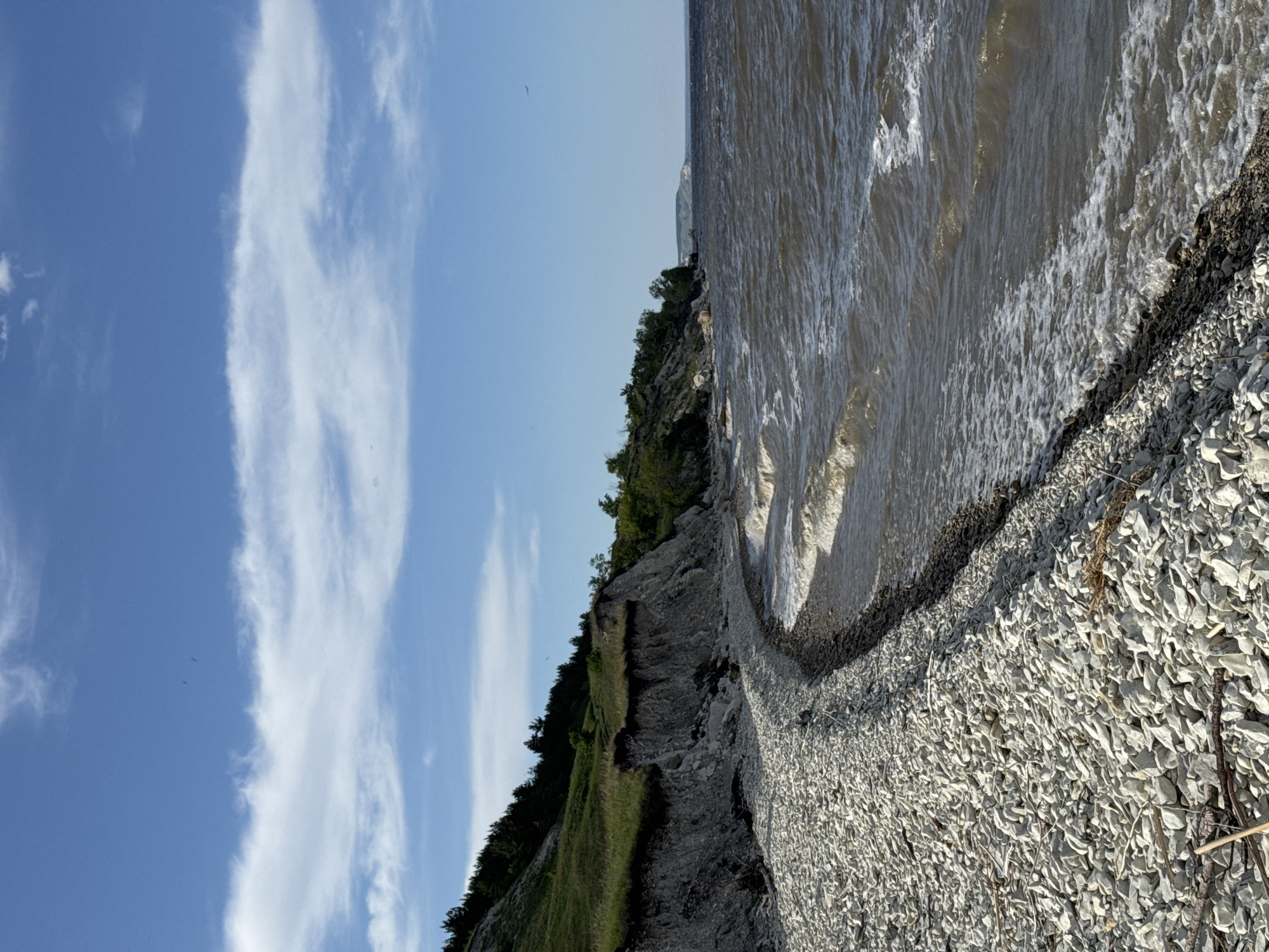 The image displays a coastal or lakeside landscape, located in Unknown, Unknown, under a clear blue sky with scattered white clouds. The scene is dominated by a wide, crescent-shaped beach composed of light grey and white angular pebbles and rocks, interspersed with light-colored driftwood and dry vegetation, curving along the water's edge from the lower left to the mid-right. Immediately adjacent to the main pebble beach, a narrower band of darker, smaller pebbles transitions into the water.
To the left, a steep cliff face rises, featuring a lower section of exposed, eroded light grey rock or compacted soil, topped by a verdant slope of green grass and numerous dark green coniferous trees. The erosion on the cliff face is significant, showing undercut sections and exposed strata.
The body of water, occupying the mid-right to far right of the image, is dark and appears choppy, with visible waves breaking on the shoreline, generating white foam. Across the water, in the distant background on the horizon, fainter, lighter-colored landmasses or hills are discernible. Several small, dark specks, likely birds, are visible against the blue sky, with two in the upper central area and one further right above the water. No human figures or artificial structures are present.