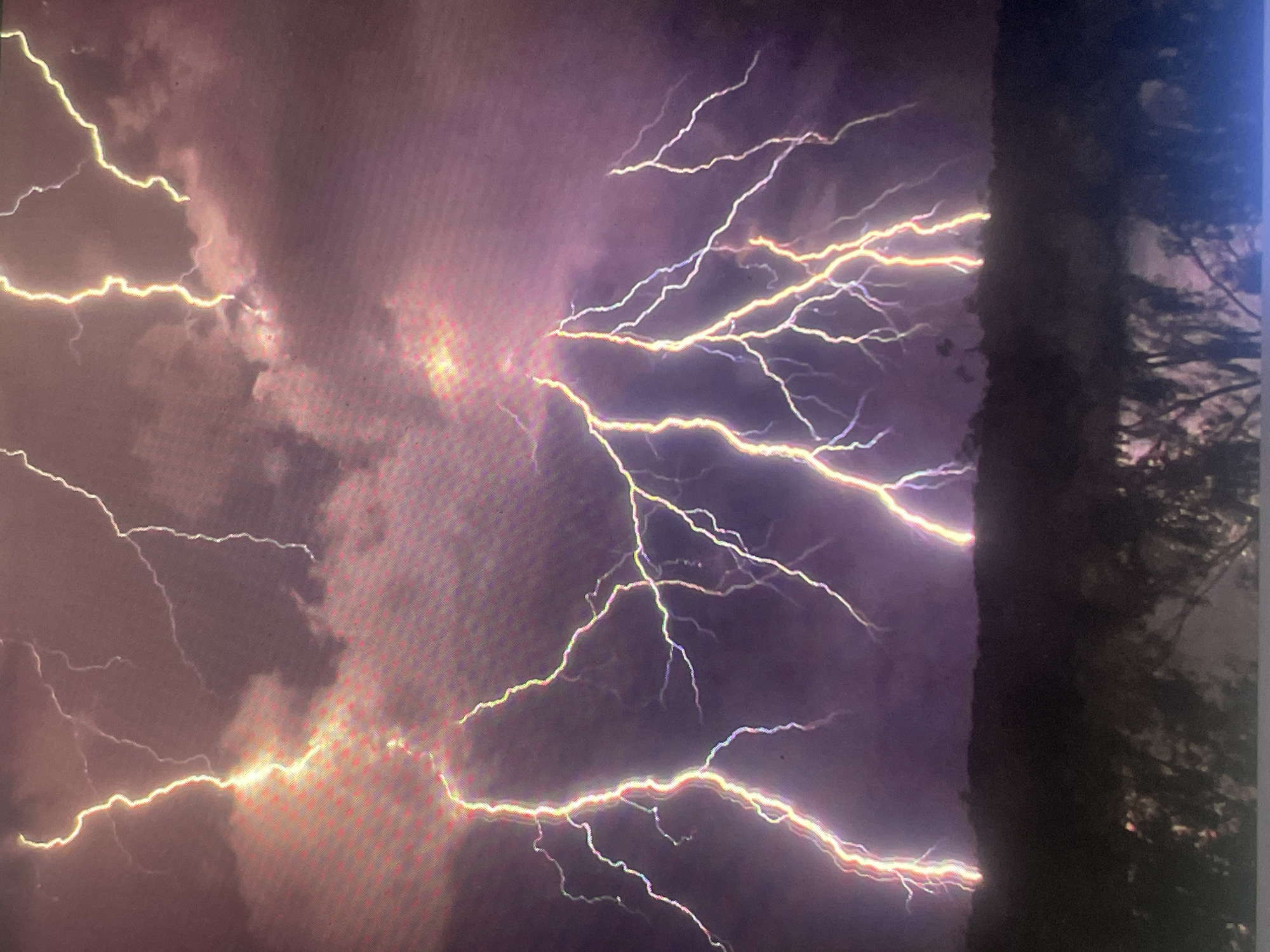 The image displays a severe lightning storm at night over Zelenyi Hai, Ukraine. The sky is dominated by dark, turbulent storm clouds, which are brightly illuminated from within by numerous lightning strikes. The lightning bolts are intensely bright, appearing as jagged and extensively branched streaks of white, yellow, and orange light with noticeable purple and blue fringes. Multiple strikes are visible across the frame, some appearing high in the clouds and others extending downwards towards the horizon. The lower third of the image shows a dark, undulating silhouette of a distant treeline or low hills. The foreground consists of indistinct, dark vegetation. There are no people, human-made structures, or artificial light sources clearly visible in the landscape. The scene depicts a powerful natural meteorological event.