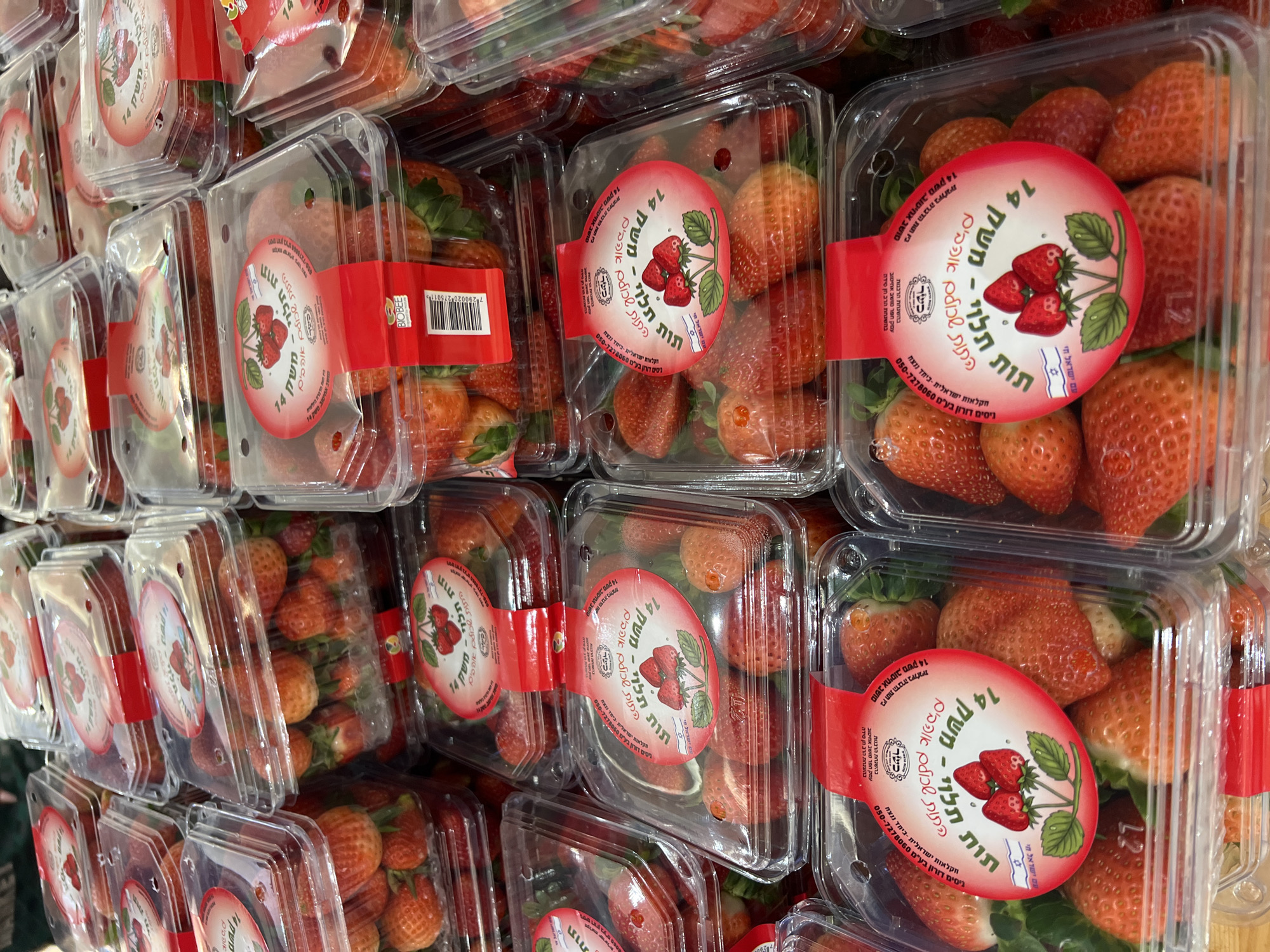 The image displays a large, stacked arrangement of clear plastic containers filled with fresh strawberries, situated in an indoor retail environment within the city of Kiryat Bialik, Israel. Each container holds numerous ripe, red to reddish-orange strawberries, many retaining their green caps and stems. The plastic clamshell containers are rectangular and transparent, allowing full visibility of the fruit.
Each container is sealed and features at least one prominent label. The primary circular labels are red and white, displaying an illustration of three strawberries with green leaves, accompanied by Hebrew text that identifies the produce as "Agricultural produce Farm 14" (תוצרת חקלאית ממשק 14) and explicitly states "Kiryat Bialik, Israel" (קריית ביאליק, ישראל) as the location of origin/grower Yoram Lotan. An icon of the Israeli flag is also present on these circular labels. Additionally, some containers exhibit rectangular red labels, typically wrapped around the side, which include a barcode and the brand name "BIOBEE." The containers are arranged densely in multiple layers, creating a substantial display of packaged fruit. The scene is brightly lit, suggesting standard overhead store lighting. No individuals or active interactions are visible.