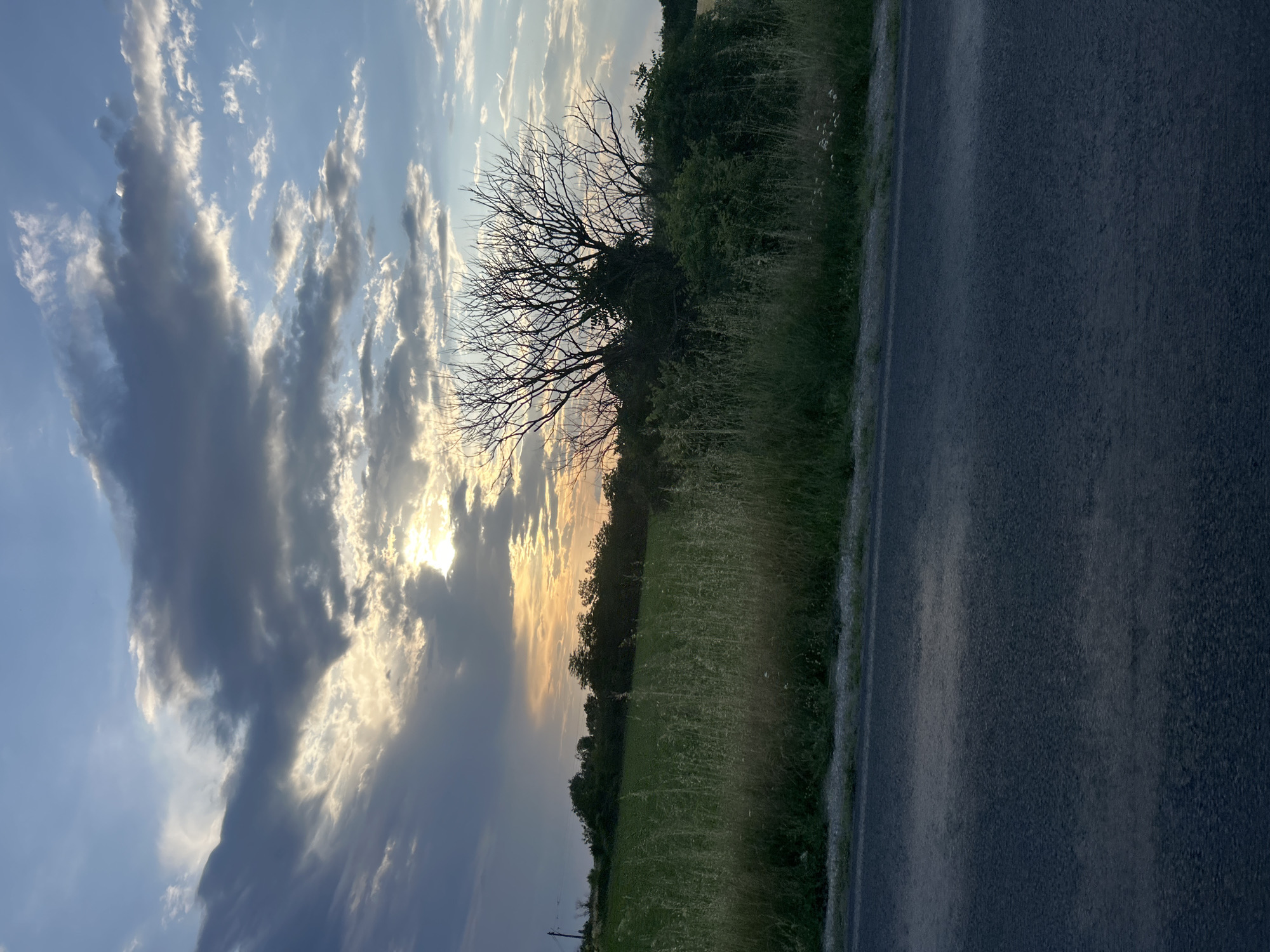 This image depicts a serene rural landscape, likely captured at either sunrise or sunset, with the provided context indicating Graf Ignatievo, Bulgaria.
The upper portion of the frame is dominated by a dramatic sky filled with an array of clouds. A warm, golden light from the sun, partially obscured by these clouds, radiates from the horizon, casting brilliant hues and visible rays that pierce through breaks in the cloud cover. Some clouds appear bright and illuminated, while others are darker and denser, creating a dynamic contrast of light and shadow across the expanse of blue sky.
Along the horizon, a line of dense green foliage and trees separates the sky from the ground. A prominent feature is a large, bare deciduous tree with intricate dark branches, silhouetted against the radiant sky, suggesting a season without leaves or that it is a dead tree. Below the tree line, a wide field of vibrant green grass, interspersed with tall weeds or wildflowers, stretches across the mid-ground.
To the right side of the image, a dark asphalt road runs vertically, bordered by a narrow, unkempt grassy verge. The road appears textured and blends into the shadowed parts of the scene.
No people, animals, or man-made structures other than the road are visible. The scene exudes a sense of tranquility and natural beauty, characteristic of a rural setting. The dramatic interplay of light and clouds is a notable detail, highlighting the time of day. There is no visible text in the image.