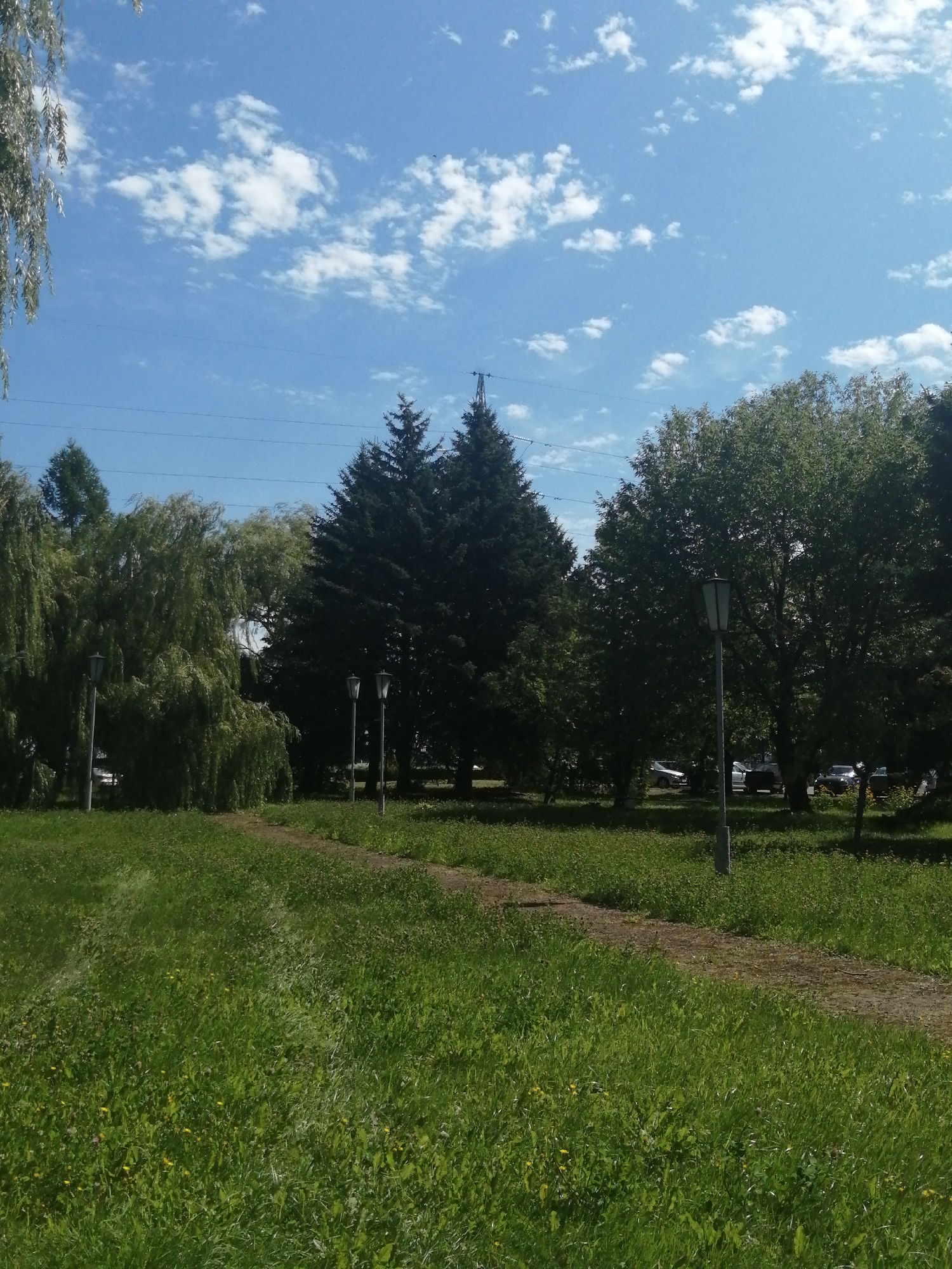 The image depicts a park or green space under a bright blue sky with scattered white clouds. A gravel path winds through a grassy area with scattered yellow wildflowers. Several lampposts line the path, with one in the foreground and two others further back. On the left side of the image, a weeping willow tree with drooping branches dominates the scene, while on the right, several tall evergreen trees stand. In the background, a line of deciduous trees can be seen, and behind them, cars are parked, suggesting a nearby road or parking area. A utility pole with overhead wires is visible in the upper right portion of the frame. The overall impression is a peaceful outdoor setting on a sunny day. This scene is consistent with areas found within the city of Slonim, Belarus, potentially a public park or a well-maintained green area within the urban landscape.