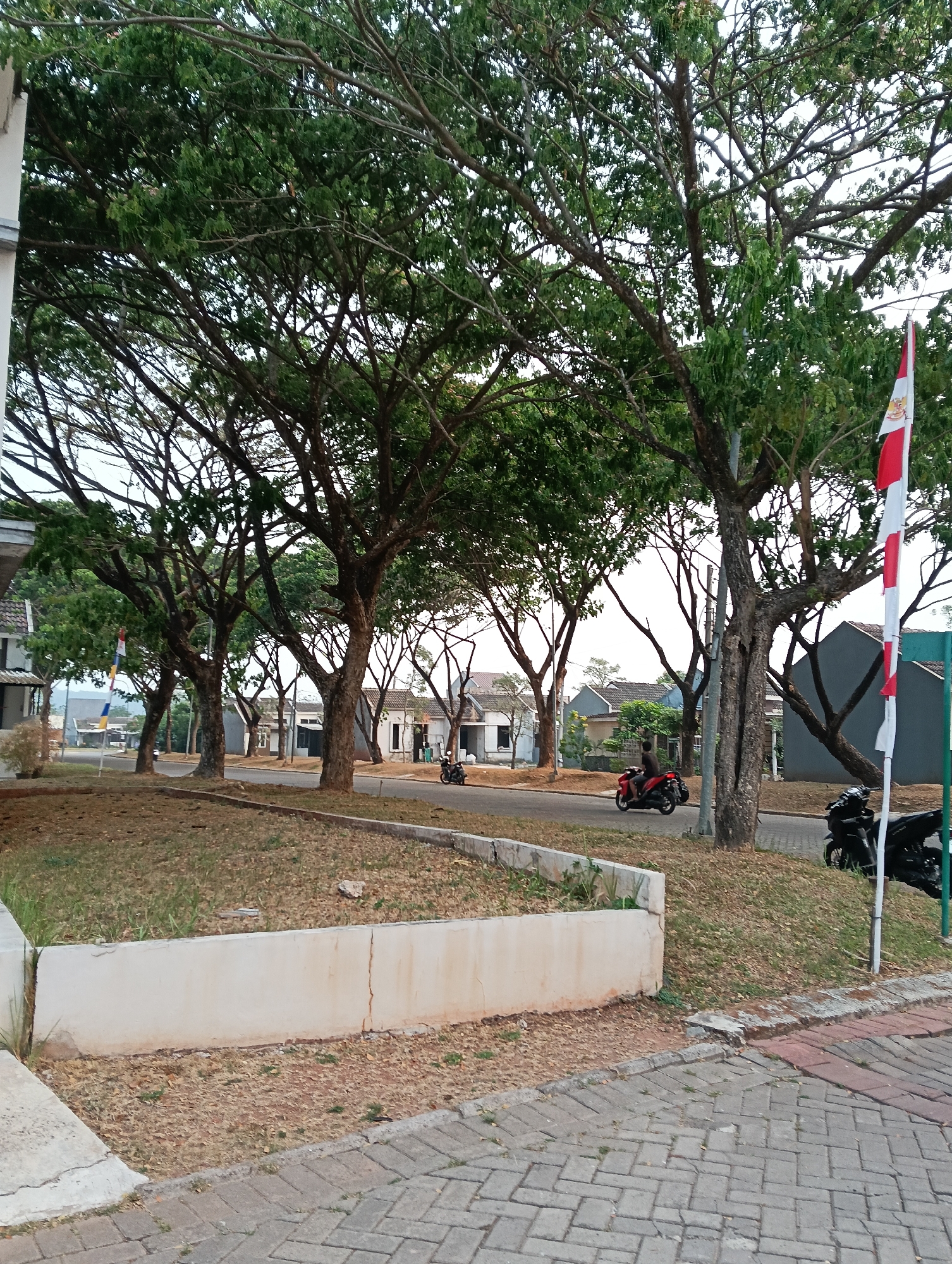 In Parung Panjang, Indonesia, this image captures a street scene lined with mature trees. The foreground shows a paved walkway and a raised garden bed with dry grass and a concrete retaining wall. Beyond the garden bed is a paved road where two motorcycles are visible. One motorcycle, ridden by a person wearing a dark shirt, is moving to the left. Another black motorcycle is parked on the right side of the road. In the background, several houses with tile roofs are situated along the street, with some of the houses having white and grey exteriors and red-tiled roofs. A flag with red and white stripes is positioned near the right edge of the frame. The overall scene is consistent with a residential street in a suburban or developing urban area.