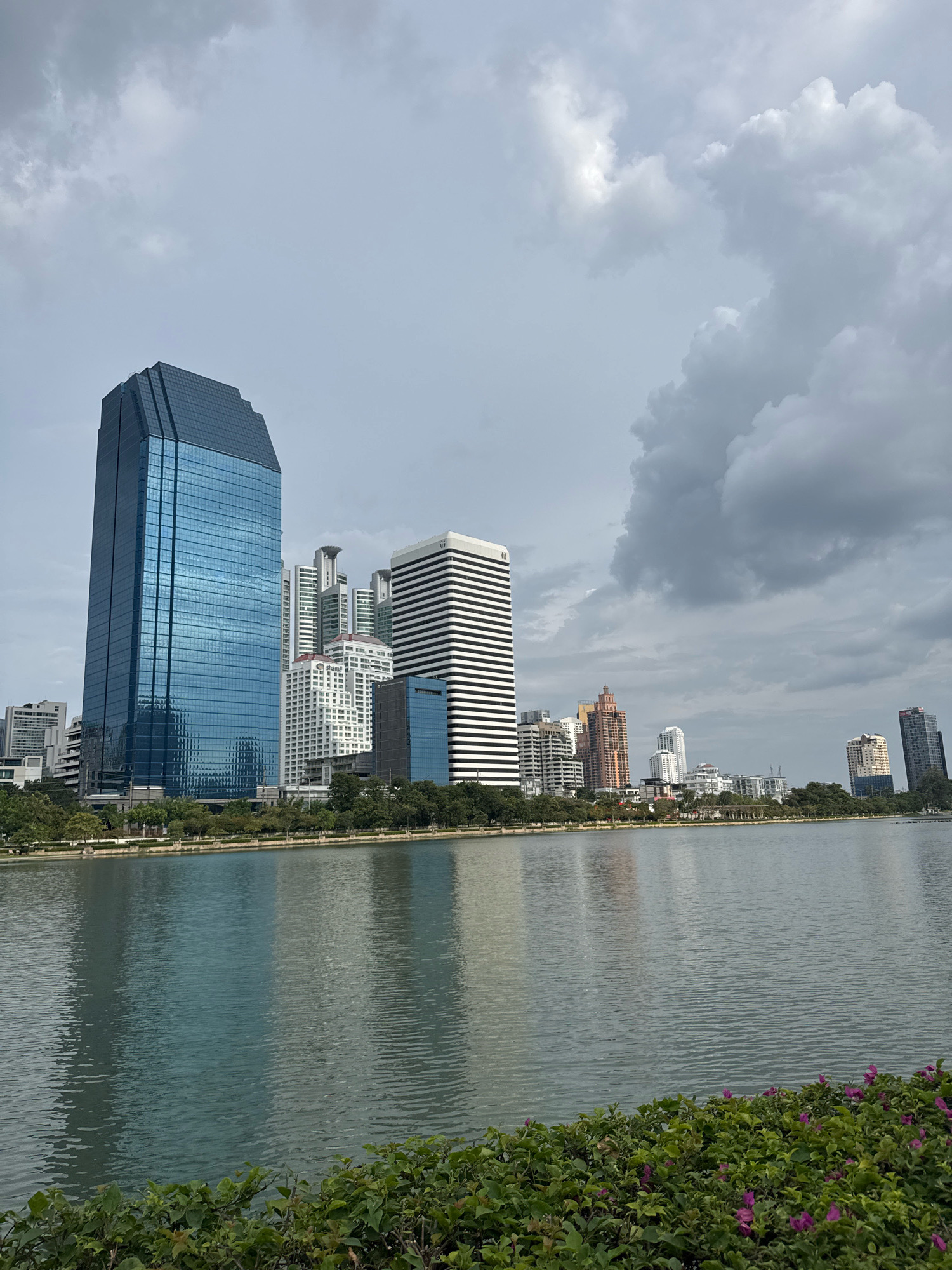 This is a landscape photograph taken from a park overlooking a lake in Bangkok, Thailand. The scene captures a modern cityscape with a collection of high-rise buildings of varying architectural styles reflected in the calm water.
The most prominent building is a tall, modern skyscraper with a blue glass facade, positioned on the left side of the frame. To its right, several other buildings are visible, including a white building with black horizontal stripes and a cluster of smaller, diverse structures. The buildings are situated along the edge of the lake, with a line of lush green trees separating them from the water's edge.
The lake occupies the lower half of the image and appears still, with clear reflections of the buildings and the sky. In the foreground, a dense cluster of green bushes with small purple flowers adds a touch of natural color to the lower right corner.
The sky is filled with dramatic, overcast clouds, suggesting a potentially gray or stormy day, but the light is diffused, casting a soft illumination on the scene.
The location is likely Lumpini Park in Bangkok, a well-known urban green space that offers views of the surrounding business district. The image conveys a sense of urban tranquility, with the natural element of the lake and park providing a contrast to the imposing modern architecture. There are no people visible in the frame, and the overall mood is one of quiet observation of the urban environment.