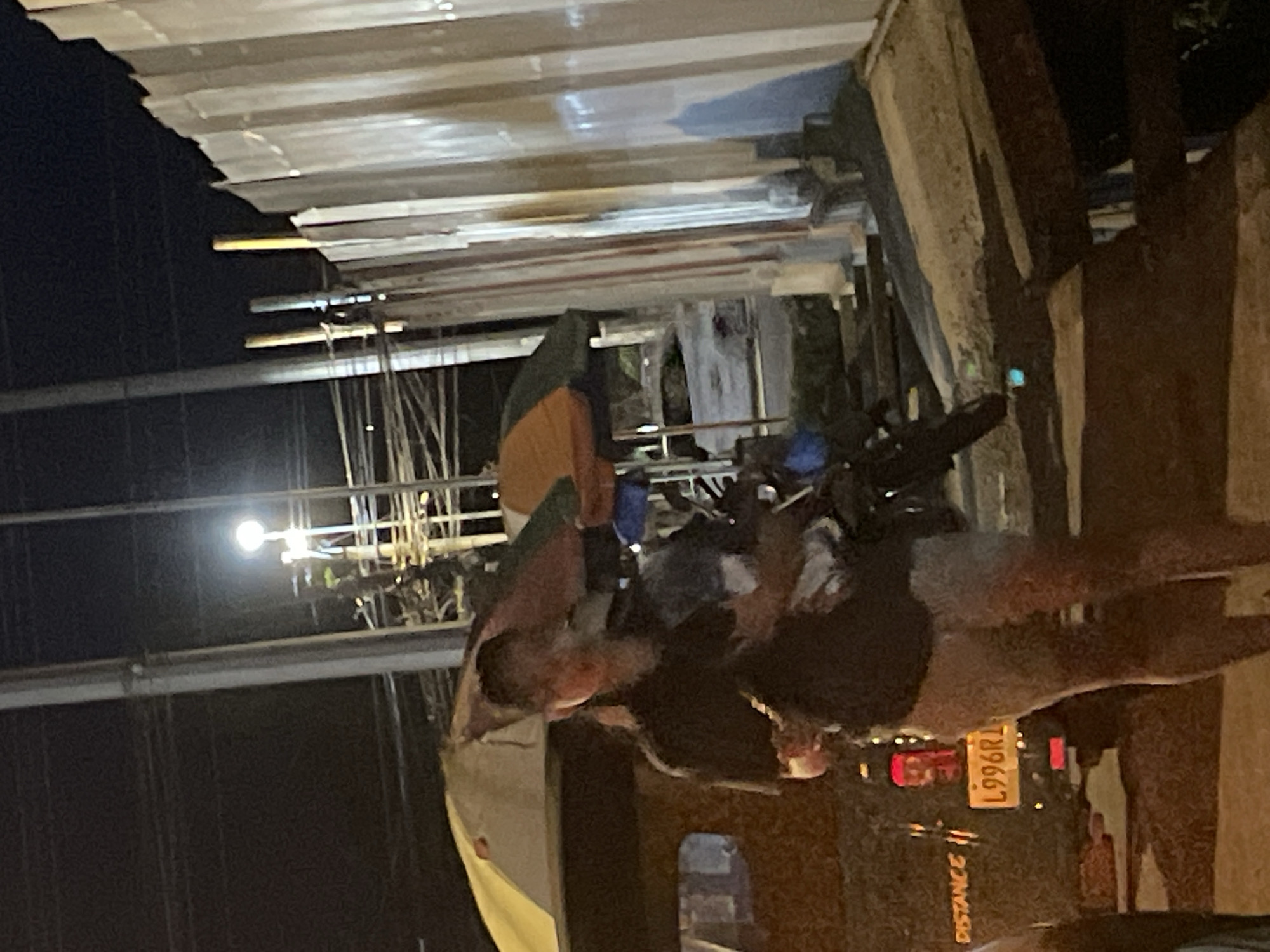 In Davao City, Philippines, at night, a person stands next to a dark-colored utility vehicle. The vehicle has a yellow license plate with the characters "L996R1". The person is wearing a dark t-shirt and light-colored shorts. They appear to be holding an object, possibly food, and are looking down at it. In the background, there is a white corrugated metal fence and overhead power lines with a bright light illuminated. The scene suggests a casual street-side setting, possibly near a food stall or market.