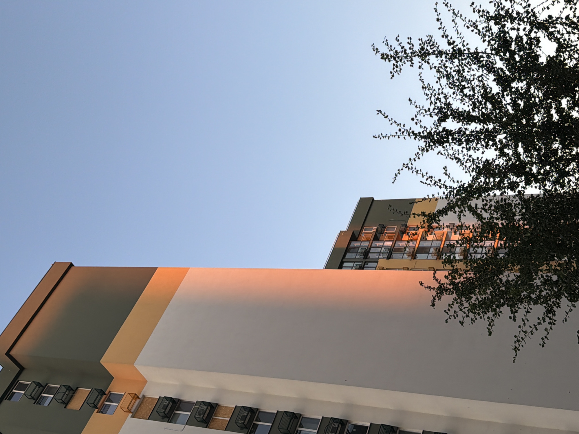 This is a medium-angle shot of two modern apartment buildings in Kyiv, Ukraine, against a clear, pale blue sky. The building on the left, closer to the viewer, is tall and predominantly white, with a band of orange near the top, and a dark green section at the very top. Several air conditioning units are mounted on the exterior, and some windows are visible. A strong, warm, orangey-pink light, likely from the setting sun, illuminates a vertical section of the white wall of this building.
To the right of this building, a portion of a second, slightly shorter apartment building is visible. This building has a darker green upper section and appears to have balconies with dark railings and visible air conditioning units. The facade of this second building is also catching the sunset light, highlighting its windows and balconies.
In the foreground, the dark silhouette of a dense leafy tree obscures the lower portion of the buildings and extends upwards, its branches silhouetted against the sky and the illuminated building. The image captures a late afternoon or early evening scene, with the distinct warm light of the golden hour. There are no people or animals visible in the image.
