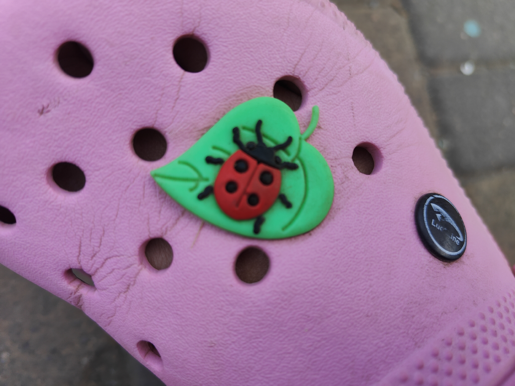 The image displays a close-up view of a pink clog shoe, likely made of rubber or a similar material, as indicated by the texture and the circular holes characteristic of this footwear. A decorative charm is attached to the shoe, featuring a green leaf with a red ladybug on it. The ladybug has black spots and antennae. To the right of the charm, a small black circular emblem with white lettering, possibly a brand logo, is visible. The shoe is resting on a textured surface that appears to be an outdoor pavement, suggesting the photograph was taken outside. The lighting suggests daylight conditions. There are no people or animals present in the image, and the scene appears to be static. The specific location in Chornomorsk, Ukraine, cannot be determined from the visual information provided.