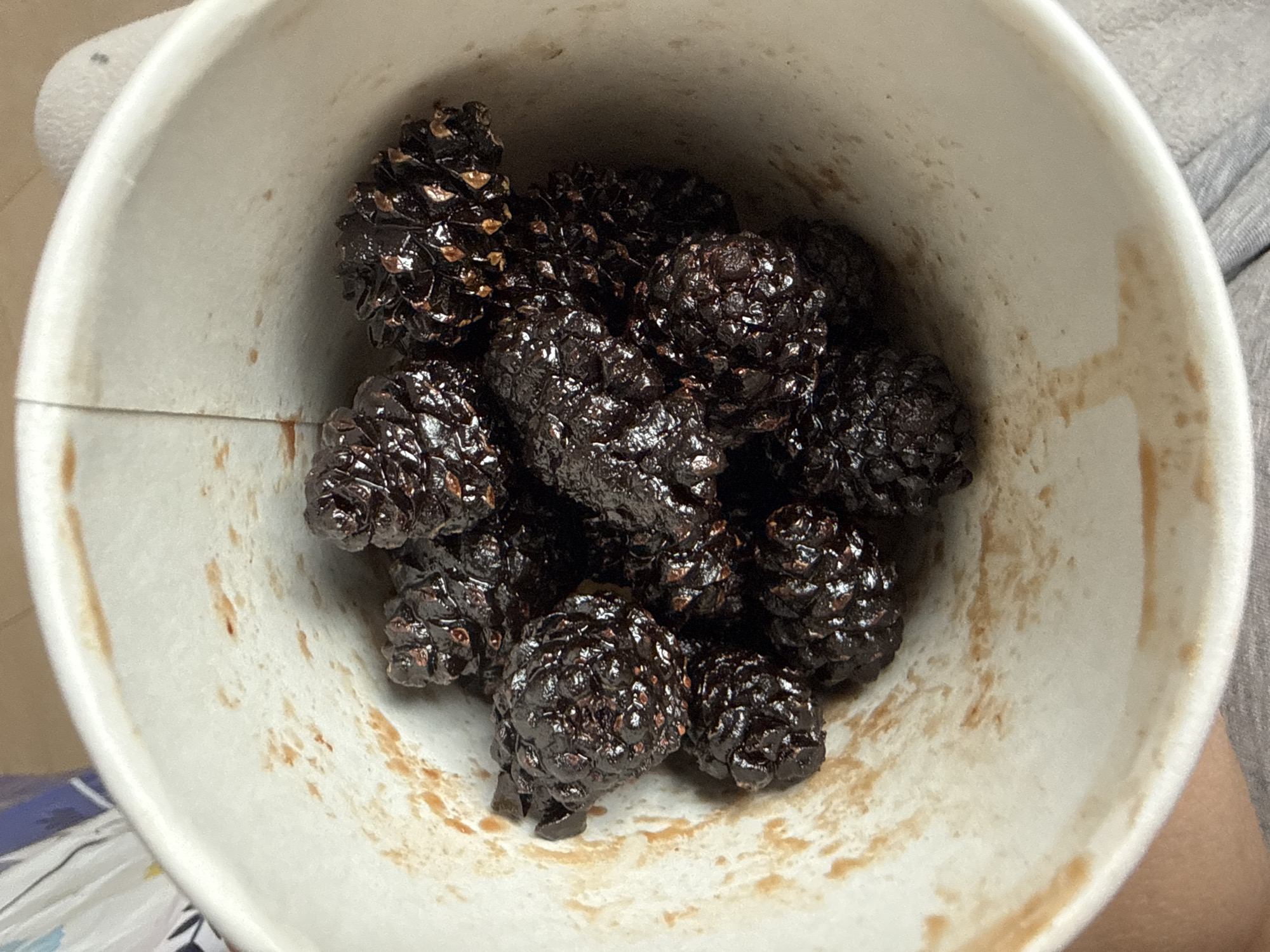 A high-angle, close-up forensic photograph depicts the interior of a white, disposable cup filled with approximately fifteen to twenty dark brown, conical objects. Each object exhibits a textured, multi-layered surface, reminiscent of a small pine cone or a dried fruit, with a glossy sheen suggesting a sticky or glazed coating. Small, lighter brown or reddish-brown speckles are visible within the crevices of the objects. The interior walls of the cup display irregular streaks and smudges of a reddish-brown residue, indicating the presence of a substance that has either coated the objects or was previously contained within the cup. Portions of a light-toned hand are visible on the lower left, gripping the cup, which rests against a grey fabric surface at the bottom and right edges of the frame. The scene is located in the city of Unknown, Unknown.