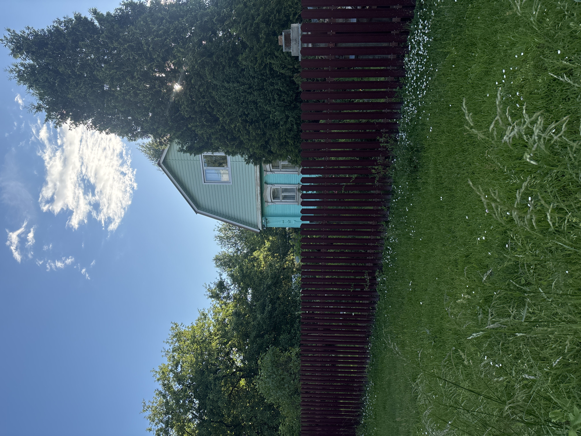 The image captures a view of a traditional wooden house with light blue siding and white trim, situated behind a dark red, horizontal plank fence. The house appears to be nestled among lush green trees, with a large evergreen tree dominating the left side of the frame and smaller deciduous trees to the right. The sky is a clear, bright blue with a few fluffy white clouds.
The foreground is filled with vibrant green grass, interspersed with small white wildflowers and taller, wispy grass stalks. Sunlight filters through the dense foliage of the evergreen tree, casting dappled light on the house and fence. The overall scene evokes a peaceful, rural atmosphere, likely during a sunny daytime in the summer or late spring.
There are no people or animals visible in the image. The house seems to be a residential dwelling. A small detail on the house, "3-38" is visible in white text above a window. The image is oriented vertically, suggesting it might have been taken with a mobile phone.
The setting appears to be a backyard or a garden area adjacent to a house, with a focus on natural elements like trees, grass, and flowers. The presence of a fence suggests a boundary for the property. The location context provided, Мещёры, Russia, places this scene within a specific geographical region known for its natural landscapes.