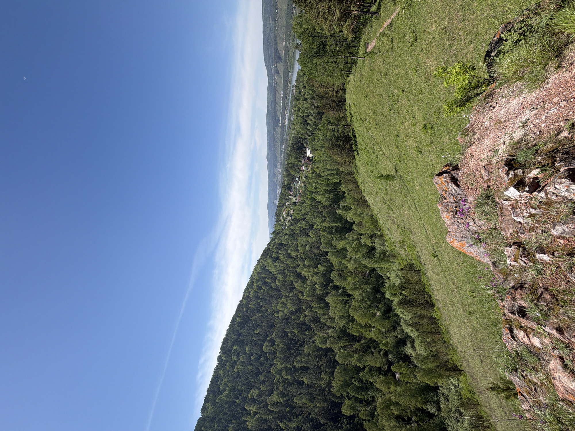 The image presents an expansive, panoramic view of a natural landscape, likely captured from a elevated position overlooking a valley in Krasnoyarsk, Russia. The sky is a bright, clear blue, occupying the upper left portion of the frame, with a few wispy white clouds trailing horizontally and vertically. A tiny white speck, possibly an airplane, is visible in the top left corner of the sky.
In the immediate foreground, to the bottom right, lies a rugged, reddish-brown rocky outcrop, speckled with patches of vibrant green grass and small clusters of purple wildflowers. This suggests the edge of a steep incline or cliff face. Adjacent to this rocky area, a gently sloping expanse of lush green grass stretches across the midground, leading down towards a dense forest.
The majority of the central and left midground is covered by a vast, dark green coniferous forest, blanketing a significant hillside. Beyond the forest, in the distant background, a wide river valley unfolds. A winding river is visible, flowing through the valley floor, flanked by what appear to be distant settlements or a small town, with buildings nestled among the terrain. Further still, a chain of hazy mountains or hills defines the horizon.
The scene is bathed in bright daylight, indicating clear and sunny weather, likely mid-morning or early afternoon given the soft lighting and lack of harsh shadows. There are no people visible, and no discernible text. The image highlights the natural beauty and grandeur of the forested hills and river valleys characteristic of the Krasnoyarsk region.