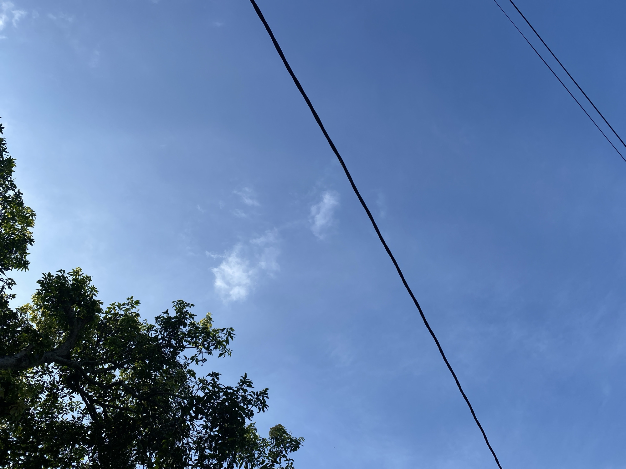 In an outdoor, low-angle shot of a clear blue sky, a single dark power line stretches diagonally from the bottom right towards the center left. In the upper left corner, the dark green leaves of a tree branch are visible, partially obscuring the sky. A few wispy white clouds are scattered across the vast expanse of blue.