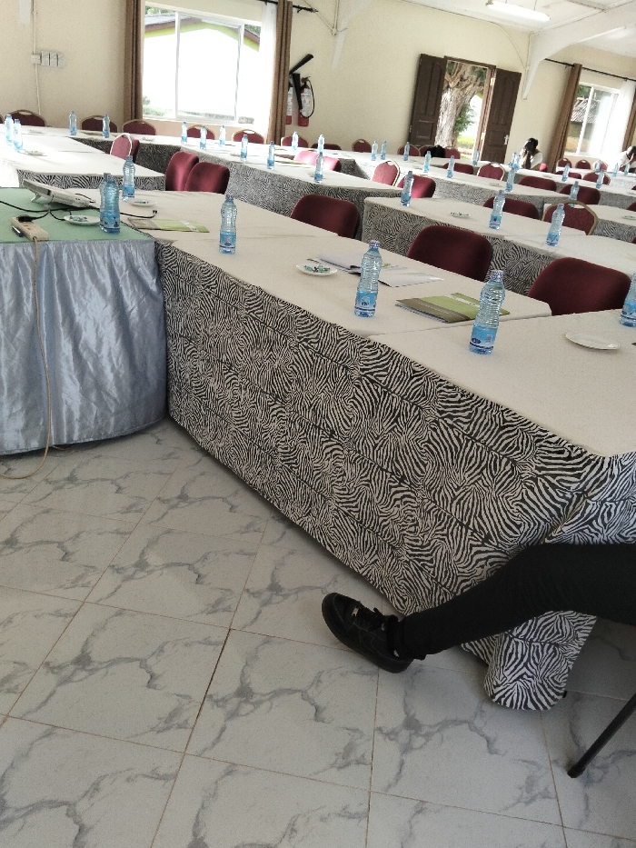 This image captures a wide-angle view of a conference or meeting room set up for an event, likely during the daytime. The room appears brightly lit, suggesting natural light from windows combined with indoor lighting.
In the foreground and extending into the midground, there are multiple long tables arranged in rows. The tables are covered with tablecloths. The main tables feature a distinctive black and white zebra-print pattern, creating a visually striking effect. To the far left, a table, possibly a head table or a registration/technical table, is covered with a plain, light blue or silver-grey silky fabric tablecloth.
Each table is equipped with several plastic water bottles, mostly full and in a light blue shade, positioned at regular intervals. Small white saucers or plates are also visible on the tables, along with some papers or notebooks, indicating preparation for a meeting or seminar. On the light blue covered table, some electronic devices or presentation equipment, including what looks like a projector remote or a microphone base, are visible. A light-colored cable runs from this table towards the floor.
Behind the tables are numerous chairs with dark red or maroon fabric seats and backs, and light-colored frames, likely metallic. They are neatly arranged behind each table, facing what would be the front of the room.
The floor is tiled with light-colored, possibly white or very light grey, tiles that have a subtle grey marbling pattern. The grout lines are visible, forming a grid.
In the background, there are windows and doors. On the left side, a large window is visible, letting in ample natural light and showing some greenery outside. A red fire extinguisher is mounted on the wall near this window. Towards the right, another set of windows and an open door reveal a glimpse of an outdoor area with trees and possibly some buildings or structures. A person or part of a person is faintly visible in the distance through the open door on the right. The walls are painted a plain, light color, possibly off-white or cream.
In the bottom right corner of the image, part of a person's leg and foot is visible. The person is wearing black trousers or leggings and black athletic shoes or sneakers. Their leg is positioned beneath one of the zebra-print tables, suggesting they are seated at one of the tables.
The water bottles have text on them, with "VIVA" clearly legible in a stylized font, indicating the brand of bottled water provided. The overall impression is that the room is meticulously prepared for a professional gathering.