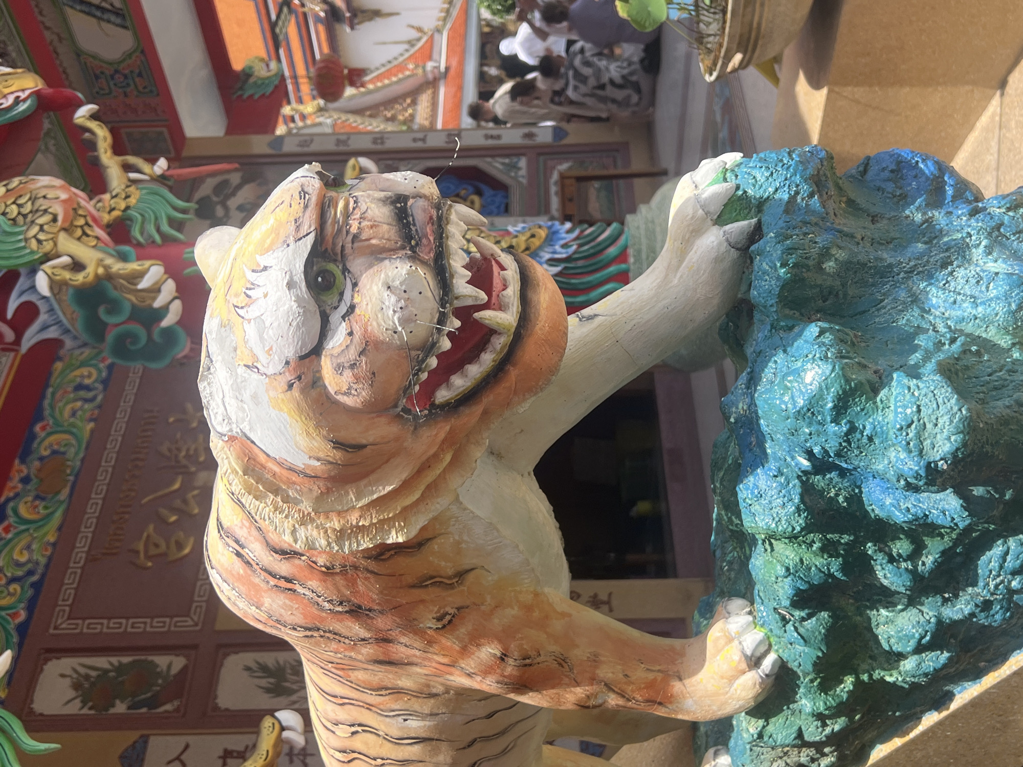 A statue of a tiger with orange and black stripes and a white face stands on a blue and green rock formation in front of a temple. The tiger statue has a fierce expression with bared teeth and green eyes. Behind the statue, the temple has red and gold decorations, including a dragon sculpture. In the background, several people are visible walking and standing near the temple entrance, suggesting it is a public place. The image captures a sunny day, with bright sunlight casting shadows. The scene appears to be a cultural or religious site in the Ko Samui District of Thailand.