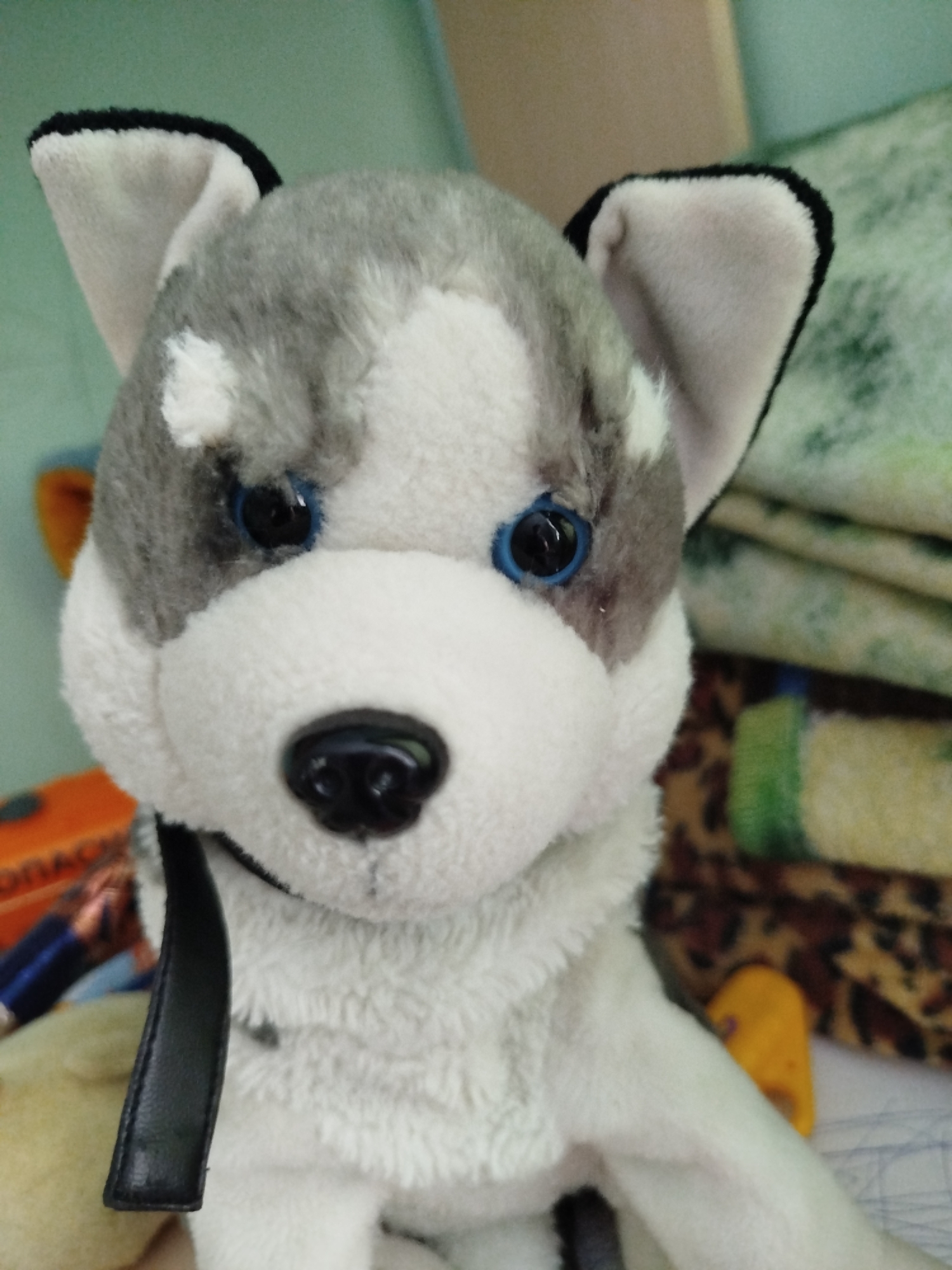 A close-up, eye-level shot shows a stuffed husky dog, likely a toy, positioned centrally. The toy has grey and white fur, with blue eyes and a black nose. A black strap hangs from the dog's neck, extending downwards. The background is soft and out of focus, featuring what appears to be blankets or fabric with a green and patterned texture. The lighting is neutral, casting no harsh shadows. The stuffed animal is positioned indoors, potentially in a home environment, as suggested by the domestic-looking background. There is no indication of it being located in Крывасельскі сельскі Савет, Belarus.