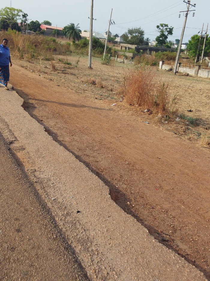 A wide shot showcases a cracked road edge transitioning to a reddish-brown, dry dirt area. Tall, dry grass clumps are interspersed with occasional trash. In the distance, buildings and trees populate the landscape under a pale sky. Electrical poles and wires punctuate the background. A person stands on the road's edge, partially visible on the left, wearing a blue top and patterned skirt.