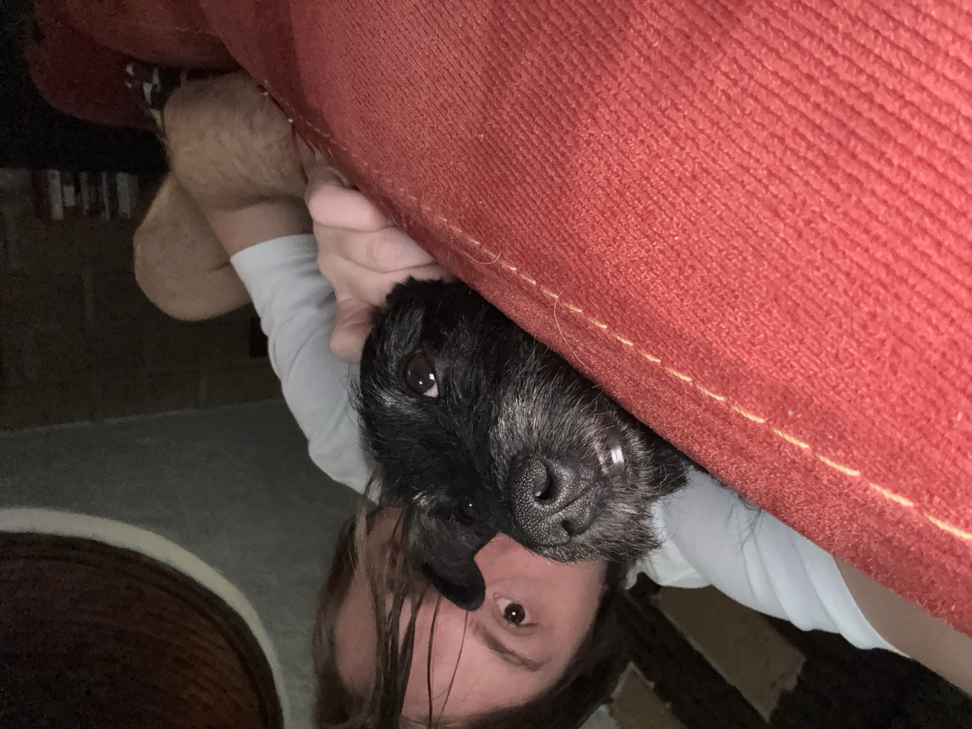 A person and a dog are visible in this upside-down close-up shot, where the person's face is partially obscured. The person has long, dark hair. Their skin appears fair. Only one eye is visible. A small, black dog with a grey muzzle is close to the person's face. The dog's nose is prominent, and the dog is looking up at the camera. The person and the dog are under a bright red, rough-textured cushion. The person is wearing a white shirt. The setting is indoors, near a floor with dark and light textures, and a woven basket. The location is undetermined.