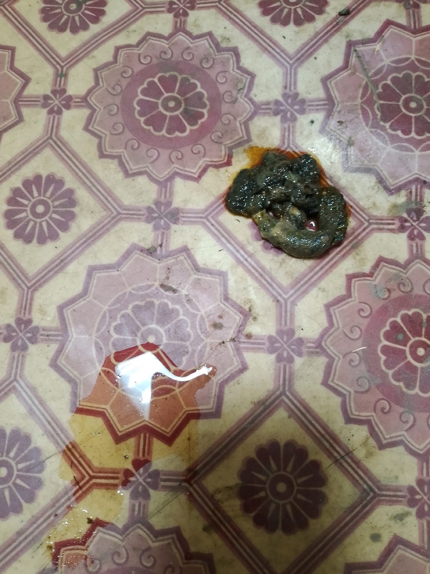 The image displays a close-up view of a tiled floor with a floral pattern in shades of pink and yellow. In the upper right quadrant of the image, there is a pile of feces, appearing dark brown and wet, with some yellowish liquid surrounding it. In the lower left quadrant, a puddle of clear liquid reflects the patterned tiles. The tiles appear worn and slightly dirty, with visible scuff marks and some dust. The lighting is overhead, casting shadows and highlighting the wetness of the feces and the puddle. The image does not provide any information about the specific location within Ленінскі сельскі Савет, Belarus, nor does it show any people, animals, or other significant objects.