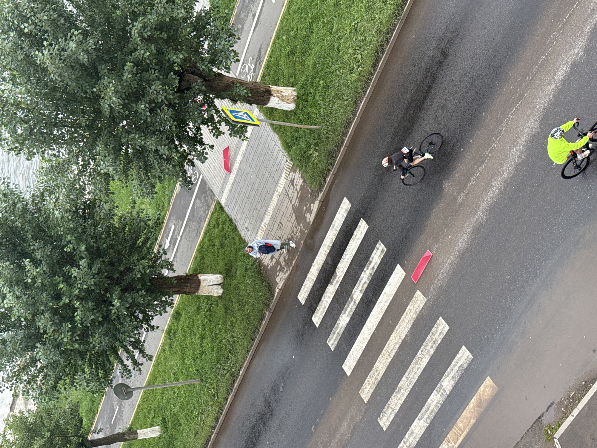 An aerial shot captures a street scene in Votkinsk, Russia, with a focus on a pedestrian crossing and a bike path. Two individuals on bicycles are visible on the wet asphalt road. The first cyclist, wearing a black jersey and helmet, is approaching the pedestrian crossing. The second cyclist, in a neon yellow jacket and helmet, is further down the road. A pedestrian, wearing a light blue raincoat, stands on the sidewalk near the crossing, holding a dark bag. Trees line the side of the road, with their bases painted white. A yellow pedestrian crossing sign is posted near one of the trees. Red markers are placed on the road, one near the pedestrian crossing and another on the bike path. The bike path, marked with white lines and bicycle symbols, runs parallel to the road, separated by a grassy area. The overall environment suggests an overcast day, possibly after rain, given the wet road surface.