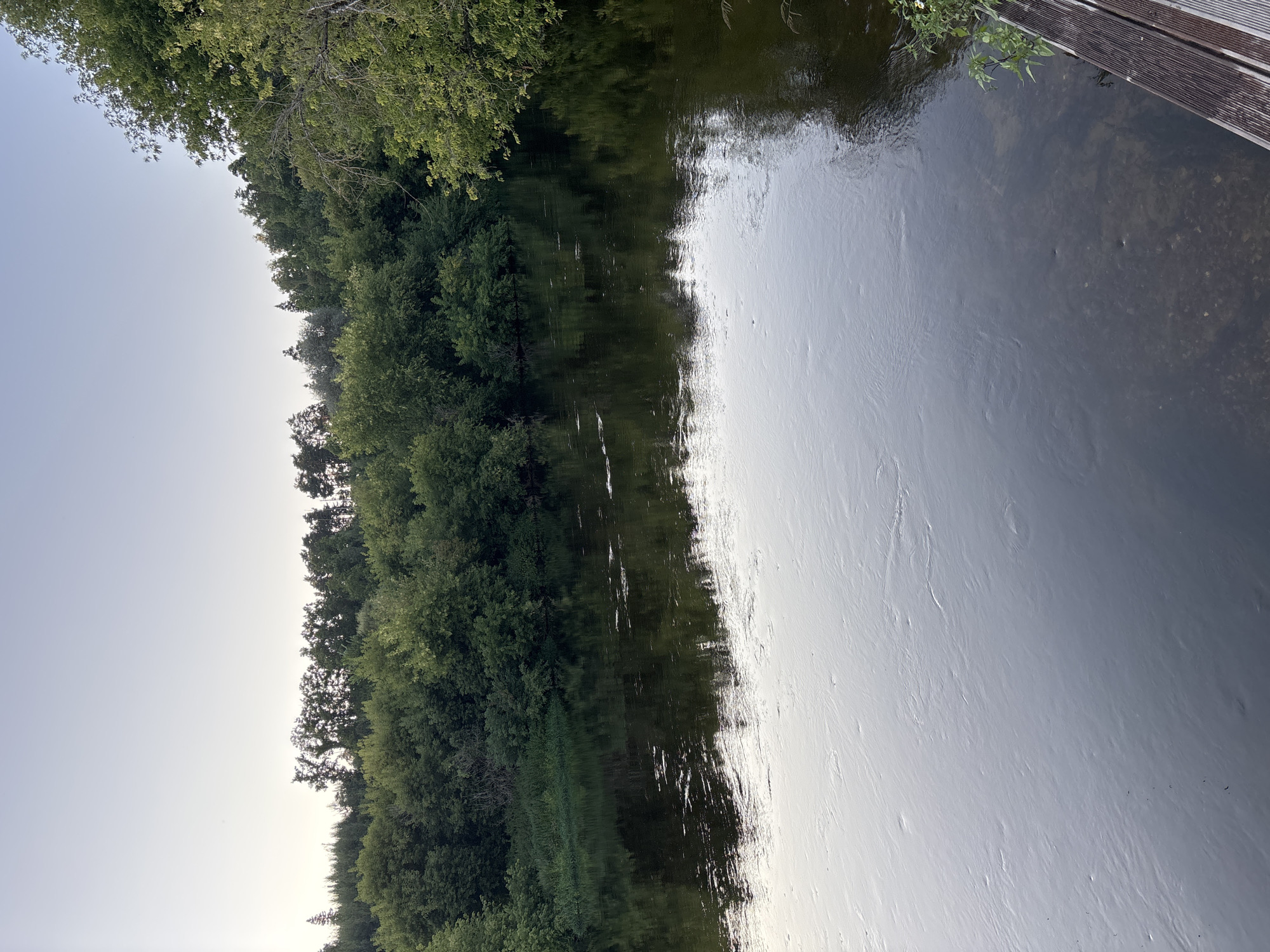 The image shows a wide, slow-moving river bordered by dense green trees. The sky is a pale, clear blue, suggesting it is either early morning or late evening. The water reflects the trees and the sky, creating a dark, somewhat murky surface with subtle ripples and currents. In the foreground, a wooden boardwalk or deck runs along the right edge of the frame, with some green foliage and a few small white flowers growing near it. The overall scene is tranquil and natural, with no people or animals visible.