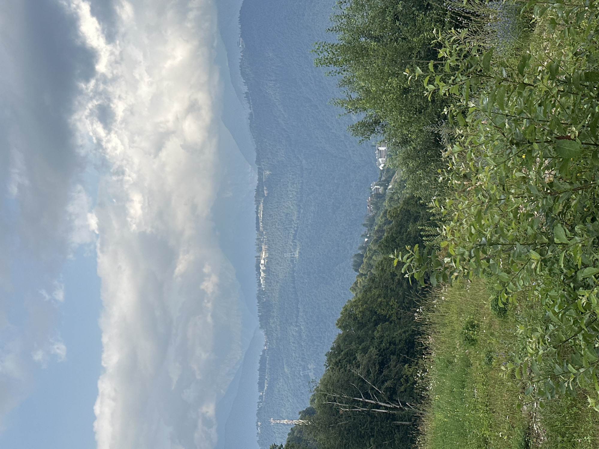 This is a landscape photograph taken in Estosadok, Russia. The image depicts a view of rolling, tree-covered mountains under a cloudy sky. In the foreground, there is a grassy area with various plants and a few small bushes. The middle ground features a dense forest that ascends the mountain slopes. Scattered among the trees on the mountainsides are buildings, suggesting a settlement or resort area. A tall communication tower is visible on the left side of the image. The sky is filled with dramatic clouds, with patches of blue sky peeking through. The overall scene conveys a sense of natural beauty and a mountainous, possibly resort, environment.