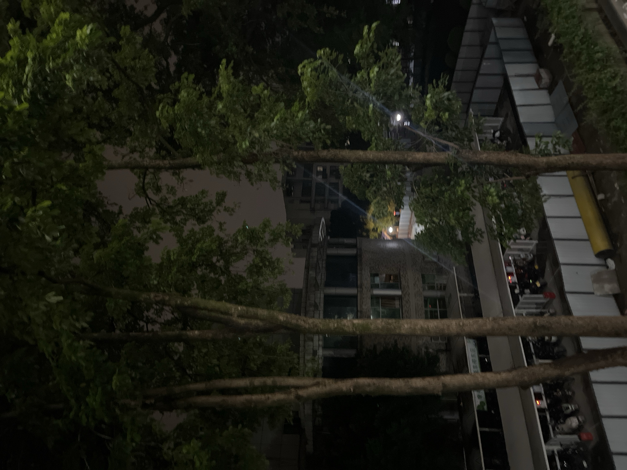The image captures a nighttime urban scene, likely within a university or institutional campus in Yuzhong District, China. The foreground is dominated by several tall, leafy trees with rough, light brown trunks, obscuring parts of the view.
In the mid-left, through the foliage, a multi-story building is visible. This structure features a lower, rectilinear section and a distinctive upper section that is curved or semi-cylindrical, characterized by a series of large, dark windows separated by vertical pillars supporting a flat roof overhang. Directly below this building, a well-lit, covered parking area is discernible, housing numerous electric scooters and motorcycles. A sign prominently displayed above this parking area, written in Chinese characters, reads "电动车停放点" (Diàndòngchē tíngfàng diǎn), which translates to "Electric Vehicle Parking Point."
To the mid-right, another multi-story building with multiple windows is partially visible behind trees. Streetlights cast distinct rays of light across the scene. A fenced-off area, enclosed by gray corrugated metal panels, occupies the lower right, potentially indicating a construction site or storage area. A large yellow pipe-like object lies horizontally on the ground near this fenced section. The sky overhead is dark, consistent with a nighttime setting. No people are visible in the frame.