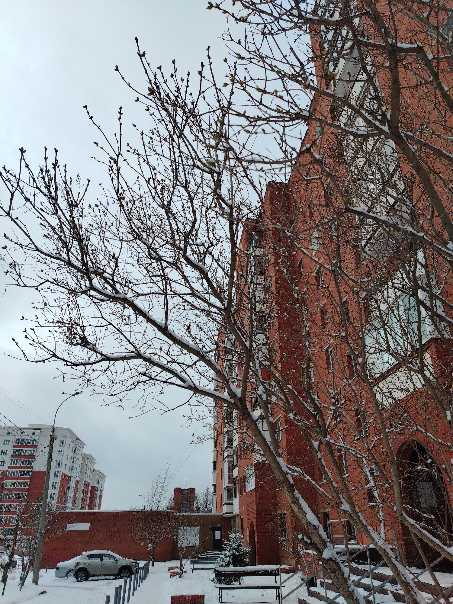 The image shows a winter scene in what appears to be a residential area of Izhevsk, Russia. Snow covers the ground and branches of trees, some of which are still bare. A tall red brick apartment building with numerous windows dominates the right side of the frame. A similar building with red and white coloring is visible in the background to the left. A car is parked near a brick wall and a streetlamp. There is a walkway with a bench and a small evergreen tree. The sky is overcast.
