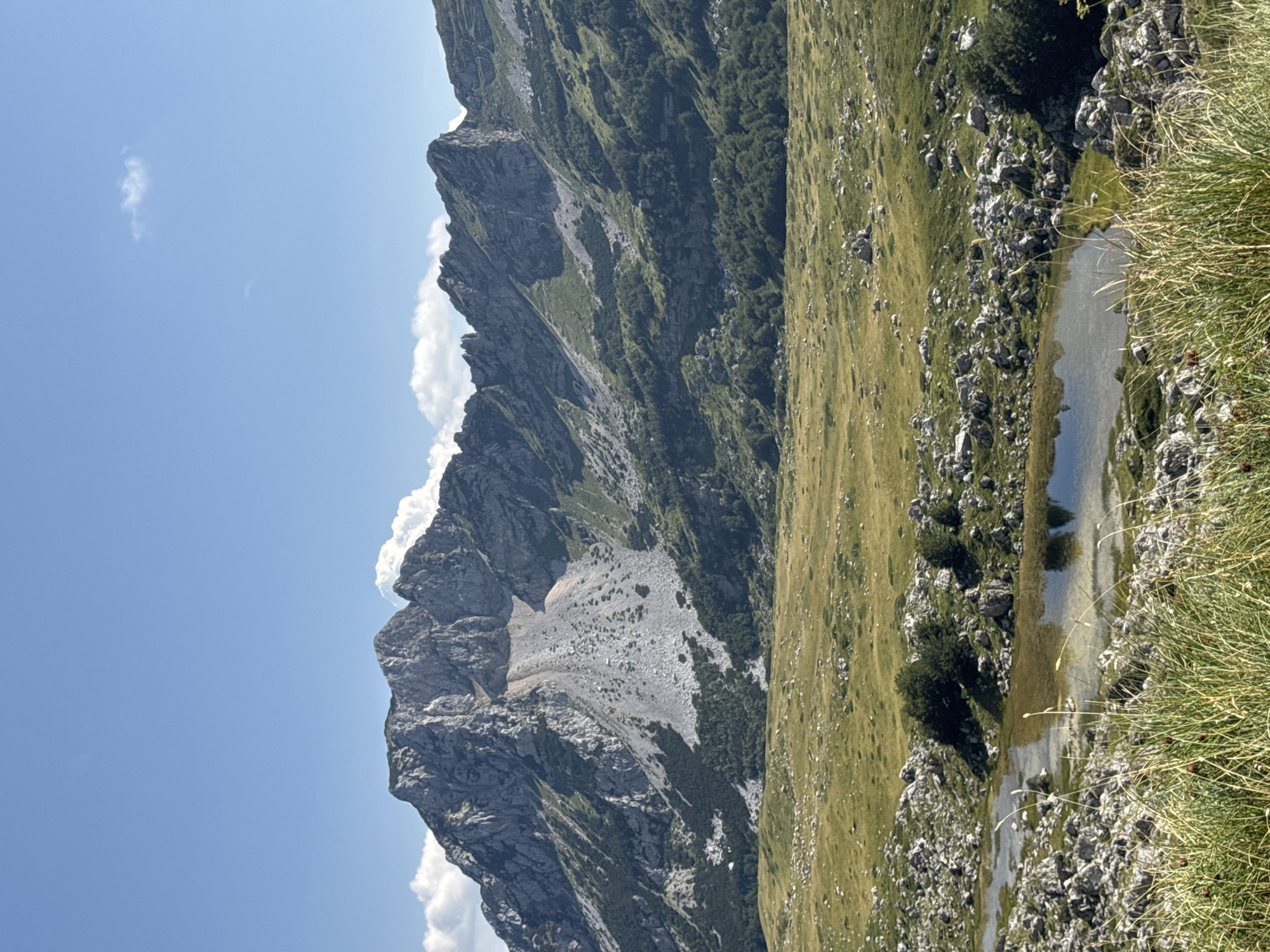 A wide-angle, landscape photograph captures a vast, mountainous terrain under a clear blue sky with scattered white clouds. In the foreground, a shallow, reflective body of water is visible, bordered by rocky outcrops and lush green grass. The midground features a sprawling, open field of golden-green grass dotted with large grey rocks, transitioning into a dense forest of dark green trees that blankets the lower slopes of the mountains. The background is dominated by a massive, jagged mountain range. The mountains display rugged, rocky peaks, with one prominent peak showing a large, pale scree slope running down its side. The lighting suggests it is daytime, with the sun casting shadows that highlight the contours of the landscape. The image is a natural, undeveloped scene, consistent with a rural or wilderness location. The description of Pašina voda, Montenegro, is not visually verifiable within the provided image.