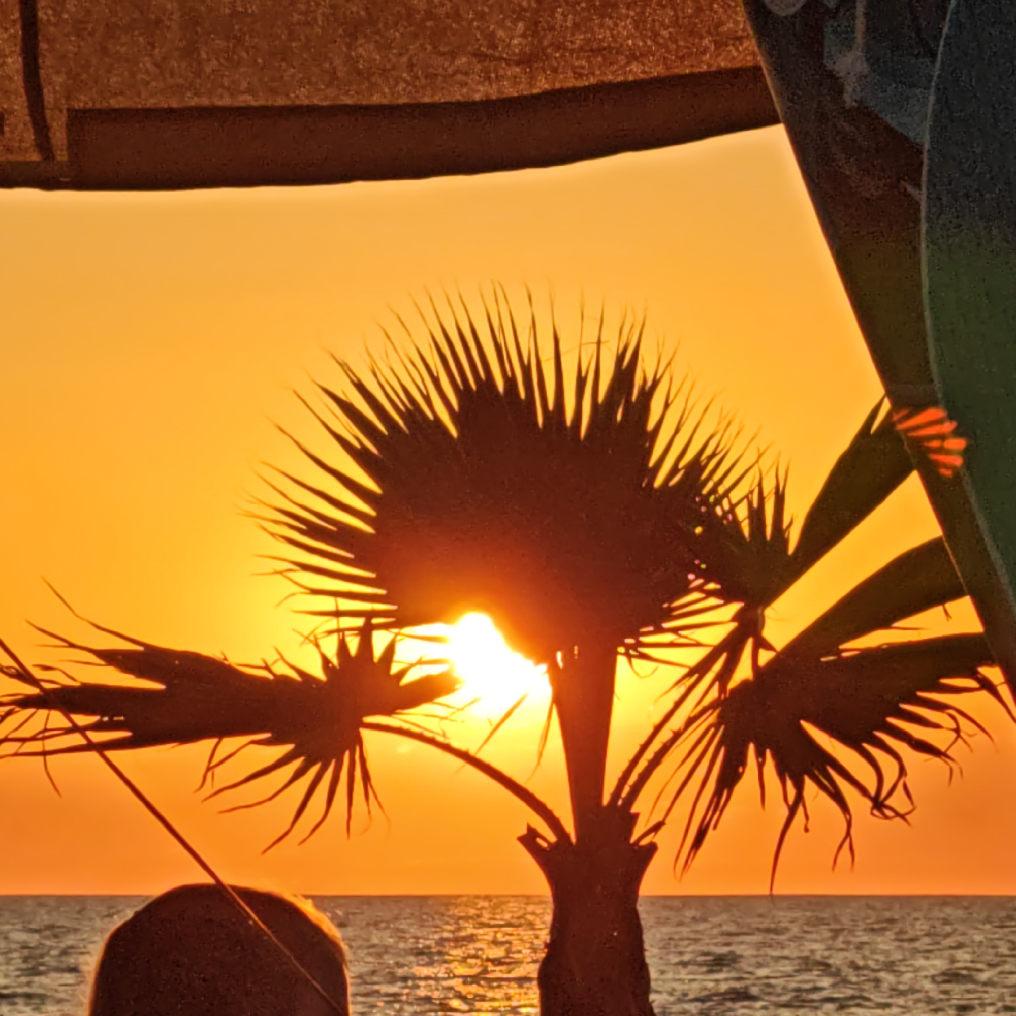 The image captures a vibrant sunset over the sea, likely in or near the urban settlement of Shchyolkino, Ukraine. Silhouetted against the bright orange sky is a palm tree, its fronds fanning out as the sun peeks through them. The sun's rays create a bright, diffused glow, illuminating the edges of the palm leaves. In the foreground, the top of a person's head is visible, suggesting they are observing the sunset. The sea stretches out to the horizon, with gentle ripples reflecting the warm hues of the sky. The scene is framed by what appears to be part of an awning or structure at the top and a green object on the right side of the image, possibly another part of the temporary structure.