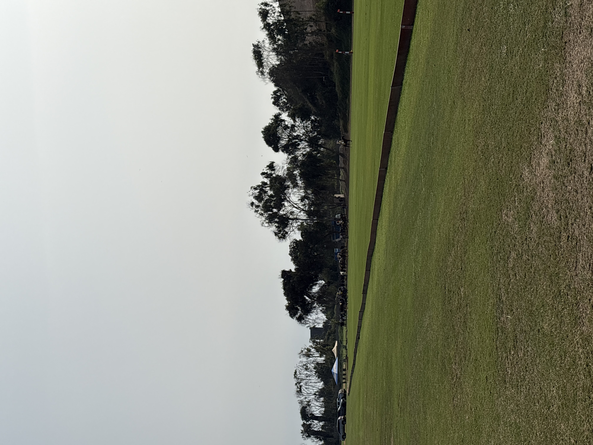 This image depicts a polo field in Lurín, Peru. The foreground is dominated by a vast, well-maintained green grass field, with a reddish-brown border lining its edge. In the middle ground, a line of trees separates the field from a distant natural landscape. Several cars are parked on the left side of the field. A white and blue tent, and an orange tent are visible. Further to the right, a herd of cattle is grazing. A single rider on horseback is visible in the distance on the field, and two polo goals are visible on the far right. The sky above is overcast and light gray, with no distinct clouds.