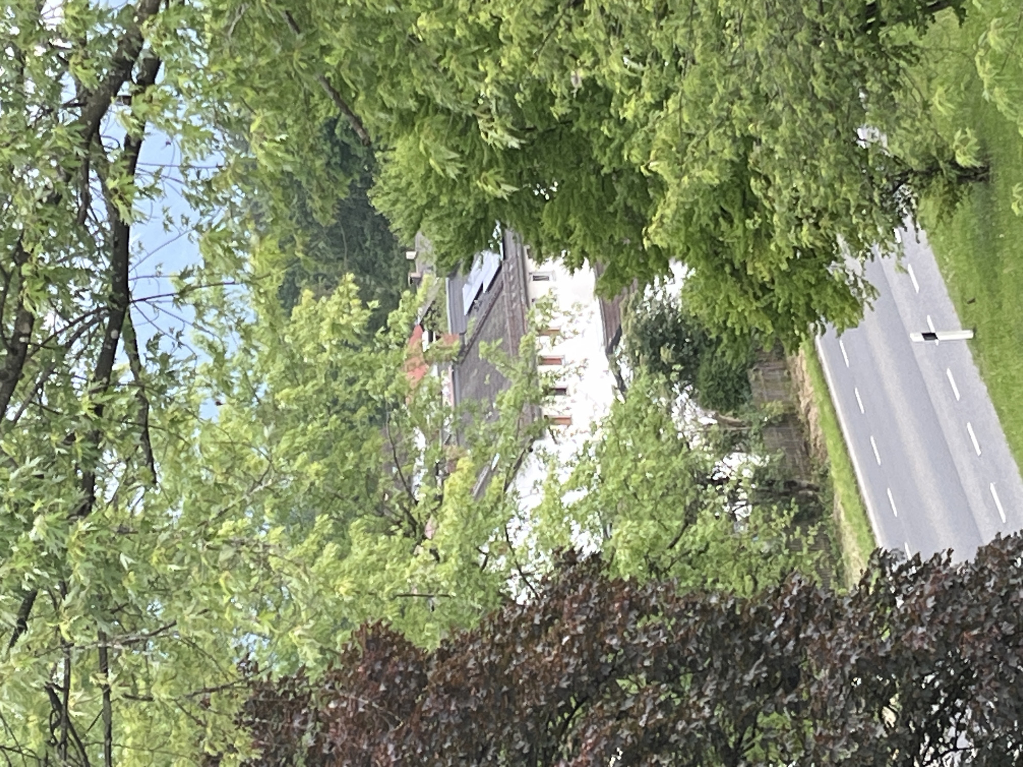 The image is a medium-distance shot of a street scene in Garmisch-Partenkirchen, Germany, observed from an elevated position through dense foliage. The foreground is dominated by the lush green leaves and branches of several trees, with a dark reddish-brown tree on the left and lighter green trees on the right.
Beyond the trees, a two-lane asphalt road stretches diagonally across the lower part of the frame, marked with white dashed lines. The road has a gentle curve to the left and is bordered by a grassy verge. A white traffic marker with a black top is visible on the right side of the road.
In the middle ground, several buildings with white facades and tiled roofs are visible. Some of these buildings have rows of red-orange windows. Solar panels are installed on the roof of one of the buildings. The architecture suggests a residential or possibly a commercial area.
The background consists of more trees and vegetation, with hints of a sky that appears overcast or hazy. The overall impression is that of a street in a town or village setting, characterized by abundant greenery and typical European architectural elements. There are no people or vehicles clearly discernible in the image.