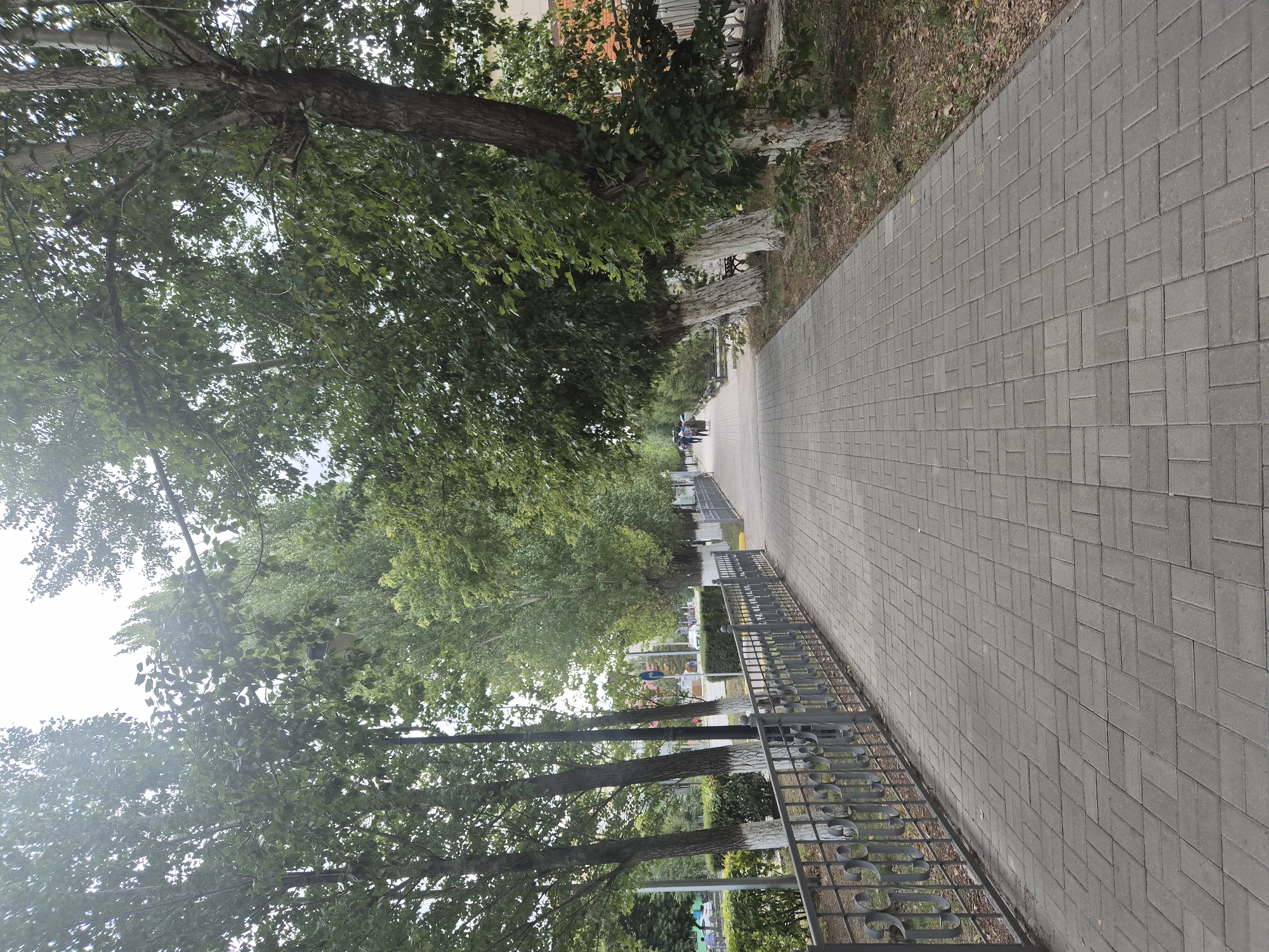 The image shows a paved pedestrian walkway lined with trees on either side. A decorative metal fence runs along the left side of the walkway, separating it from a green hedge and beyond that, a street with some vehicles. Several trees with white-painted bases are visible along the right side of the walkway. In the distance, a few people are walking on the path. The walkway appears to be in an urban setting, likely a park or a tree-lined street. The overall atmosphere is calm and serene. This scene is consistent with a public space in Kokshetau, Kazakhstan, a city known for its numerous parks and green areas.
