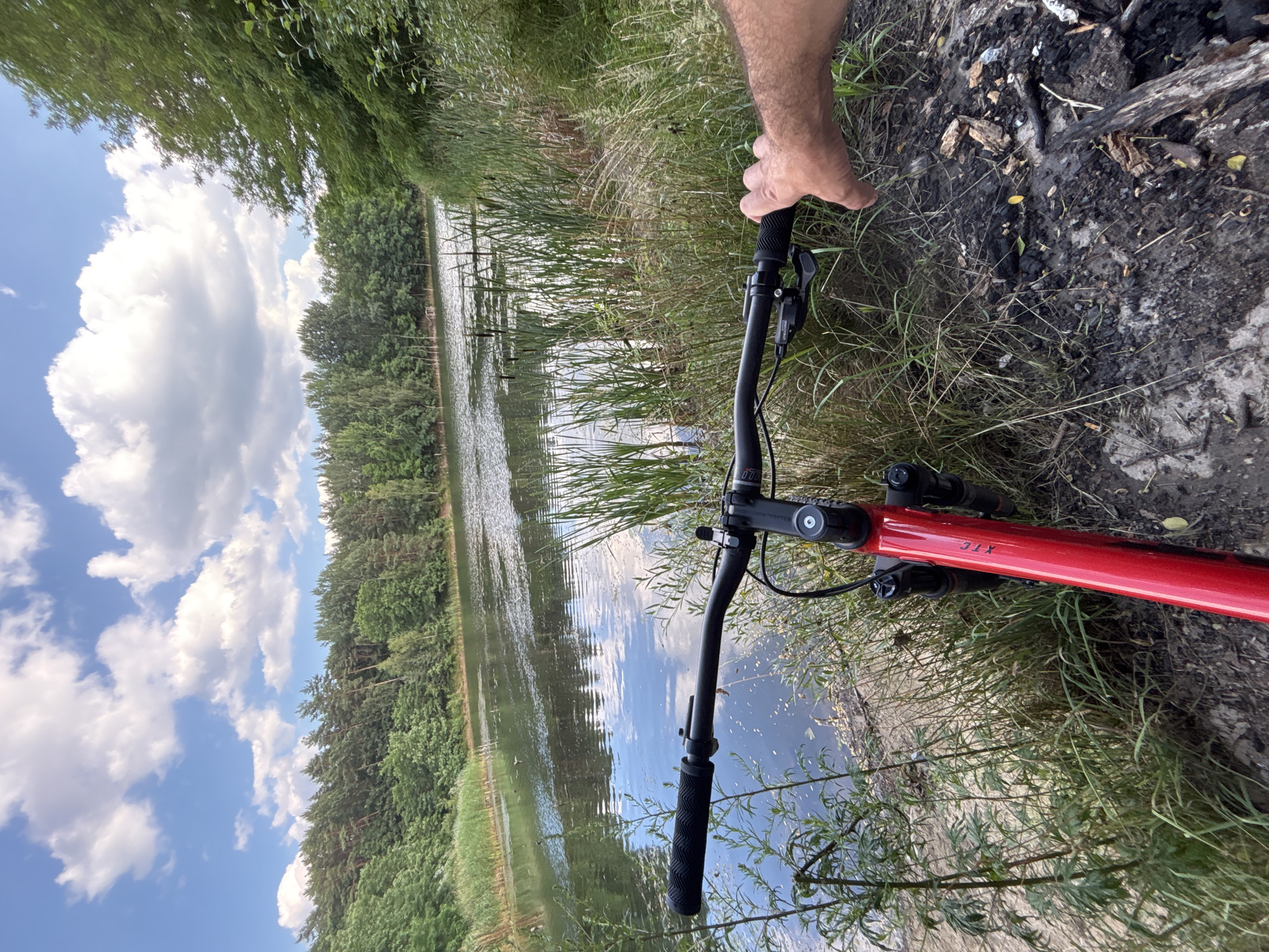 The media file shows a first-person perspective of someone holding the handlebars of a red bicycle. The bicycle is positioned on a path next to a body of water, likely a lake or river, with lush green trees and vegetation surrounding it. The water reflects the blue sky and white, fluffy clouds. The ground next to the path appears to be dark soil with some debris, possibly from a fire pit, and dry grass.
The scene suggests an outdoor activity, likely cycling, in a natural setting. The sunlight indicates it is daytime, and the presence of clouds suggests potentially variable weather. The dense greenery and trees point to a location with abundant plant life. The visible text on the bicycle frame reads "XTC". The overall impression is one of a scenic outdoor excursion.