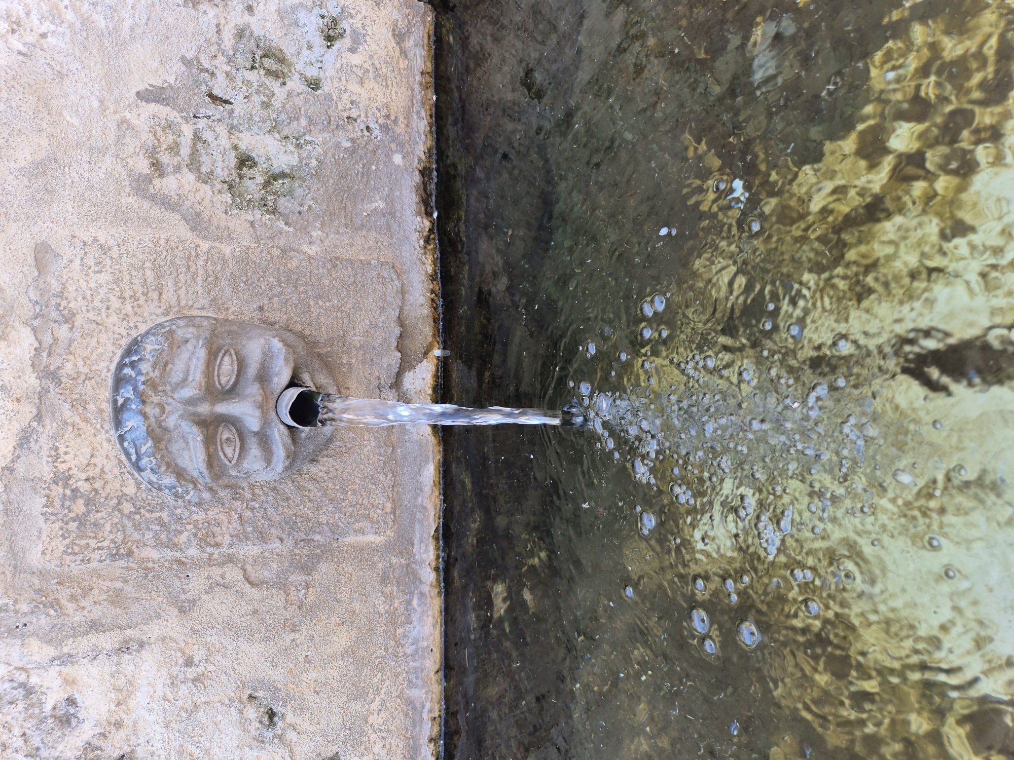 The image shows a stone fountain with a carved face, from which water is gushing into a pool below. The fountain's face is detailed with large, hollow eyes, a prominent nose, and a gaping mouth from which the water stream emerges. The stone wall behind the fountain is rough and textured, with some signs of age and weathering. The water in the pool is clear, with visible ripples and small bubbles forming where the water impacts the surface. The overall scene suggests an outdoor setting, likely a public space within the city of Laterza, Italy, given the prompt's context.
