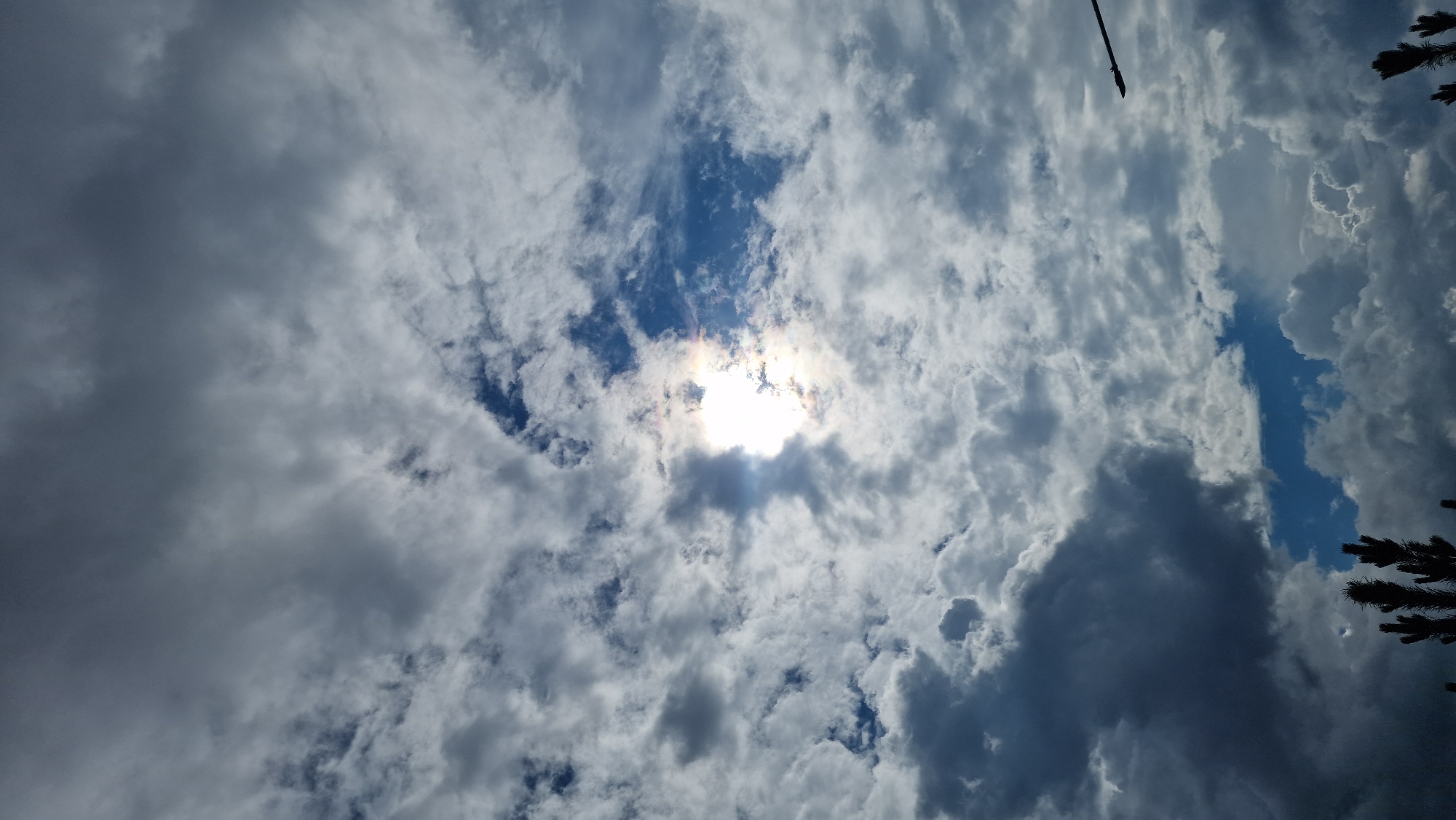 A photograph captures a sky filled with a dramatic mix of clouds, with patches of bright blue visible between them. The sun is partially obscured by a thick cloud, creating a bright, diffused light source with visible lens flare. Darker, heavier clouds dominate the lower left portion of the frame, contrasting with lighter, scattered clouds elsewhere. The tops of some dark, spiky vegetation, possibly coniferous trees, are visible along the very bottom edge of the image. A thin, dark pole extends diagonally from the upper right corner, its top part disappearing off the frame. The image appears to be taken outdoors, likely in an urban or suburban setting given the presence of the pole, which could be part of a lamppost. The weather conditions suggest a dynamic sky, possibly preceding or following rain. The location of Kostanay, Kazakhstan is not visually evident from the image itself.