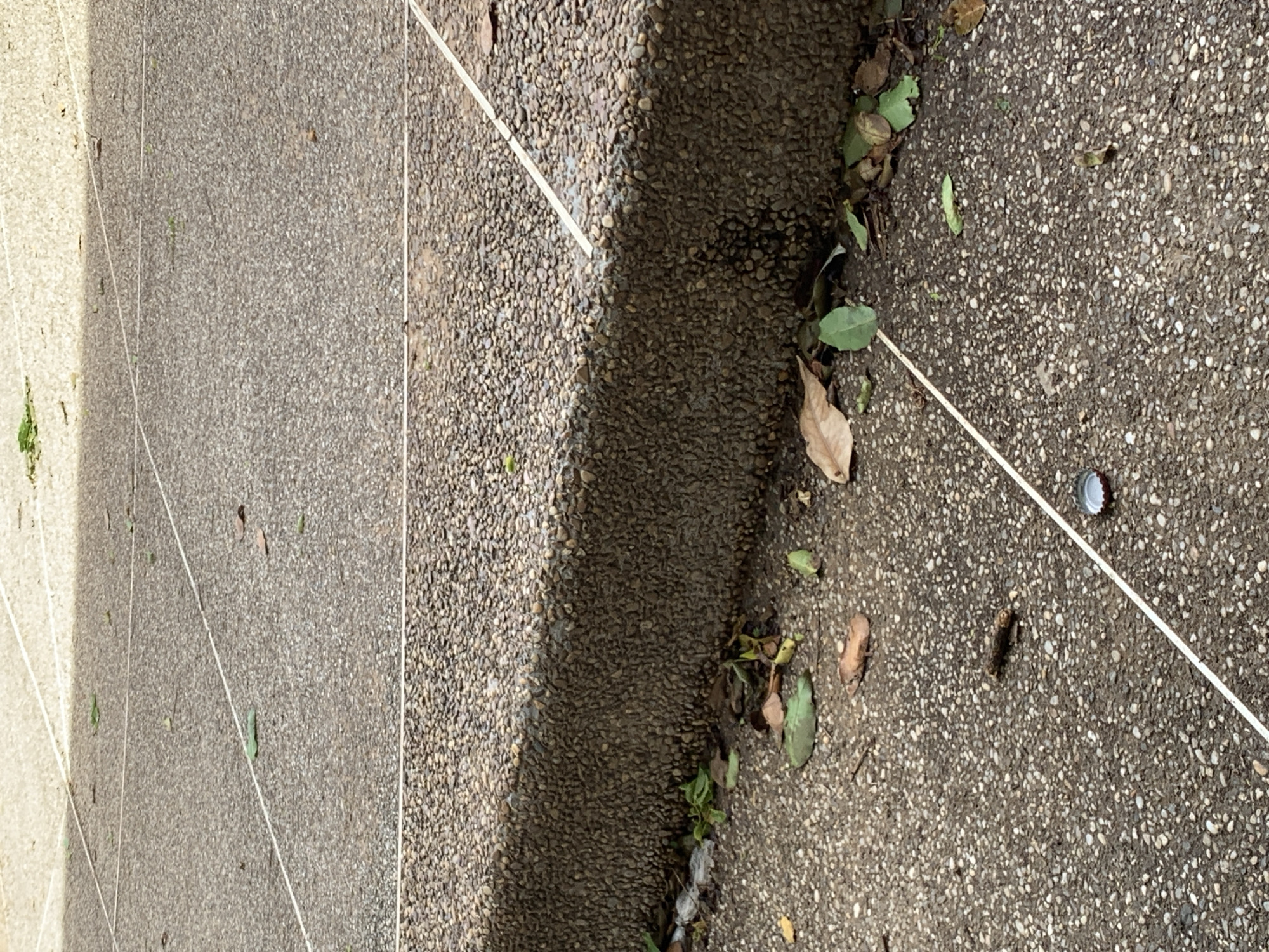 The image provides a ground-level perspective of an outdoor paved area, likely in La Tagua, Venezuela. The surface is exposed aggregate concrete, characterized by a textured array of small, multi-toned pebbles in shades of grey and brown. A prominent architectural feature, a step or raised concrete edge, creates a horizontal divide across the central portion of the frame. This edge casts a distinct shadow onto the lower section of the pavement, indicating bright daylight and clear weather conditions.
A thin, white string or line extends diagonally across the paved surfaces, crossing over the raised concrete edge. Scattered across both the upper and lower sections of the pavement, particularly along the raised edge, are several dried, brown leaves and a few small green plants that have sprouted in crevices. In the upper right quadrant of the image, a silver bottle cap is visible lying on the aggregate surface. The scene is static, devoid of people or any discernible activity. No text is visible within the frame.
