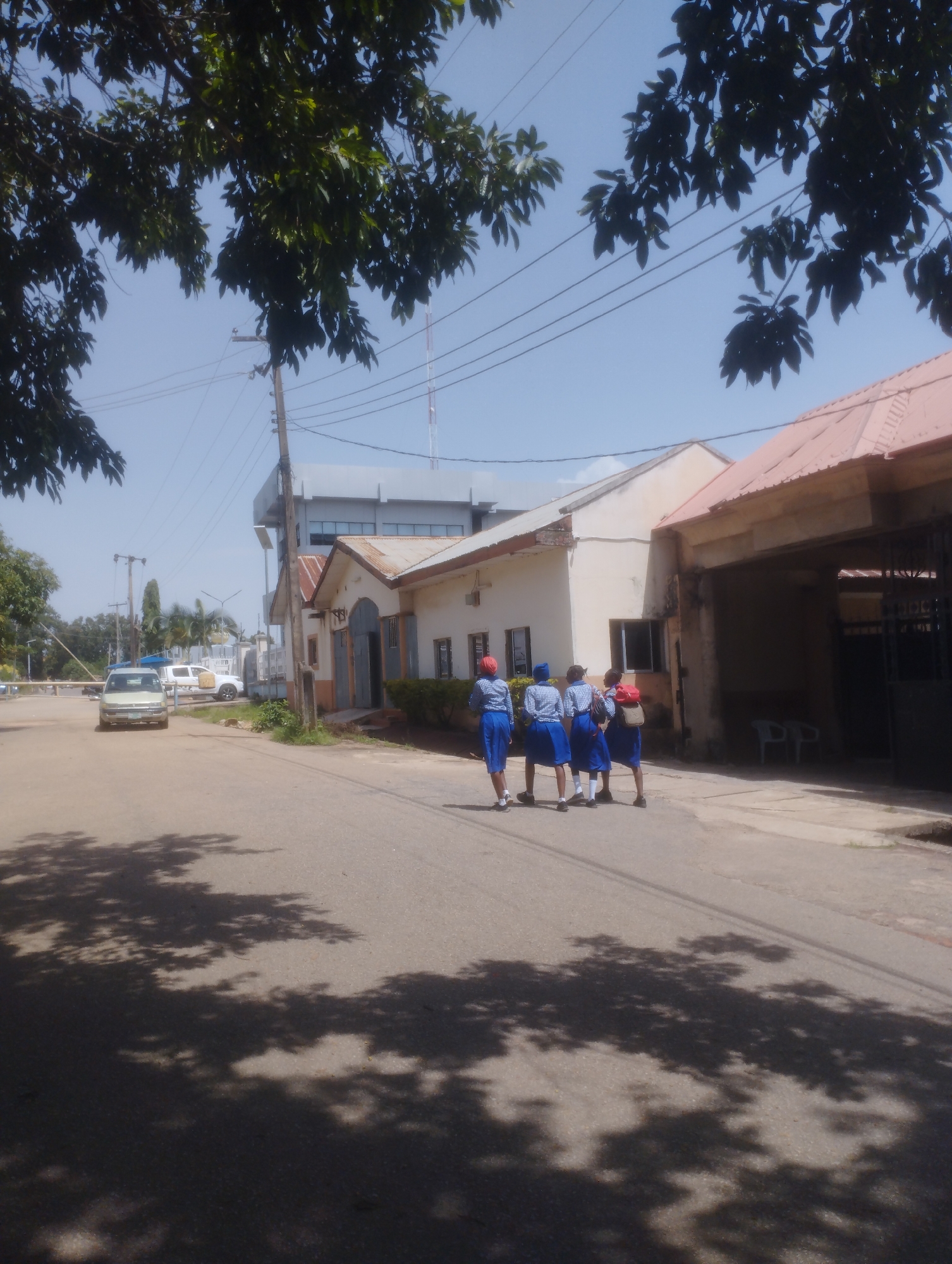 In Jos, Nigeria, on a bright, sunny day, four young individuals in blue and white school uniforms are walking away from the camera on a paved road. They are walking in a single file line, with the person in front wearing a red headscarf and a blue skirt. The other three are wearing blue headscarves and blue skirts. They are walking past a light-colored building with a rusty corrugated iron roof. To the left of this building, there is a taller, grey, modern building. Further down the road, a light-colored car is parked, and there are trees and overhead power lines visible. The scene is framed by the shadows of tree branches cast across the road.