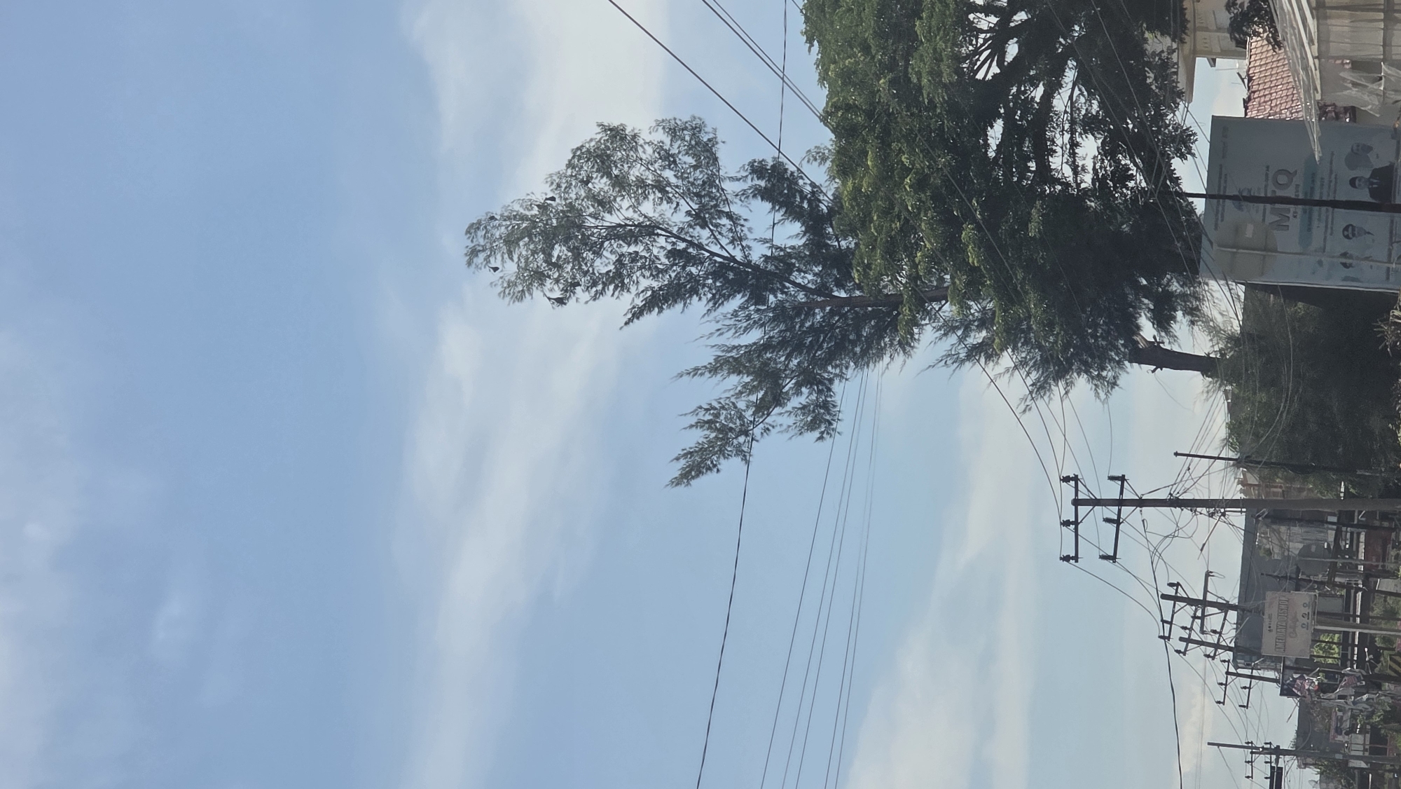 The image depicts a view along a street in Manyang Cut, Indonesia. Overhead power lines crisscross the sky, interspersed between trees. One tree stands prominently against a backdrop of blue sky with wispy clouds. Power poles and infrastructure line the roadside. A building and advertisement are visible. The scene appears to capture a typical urban environment in the area.