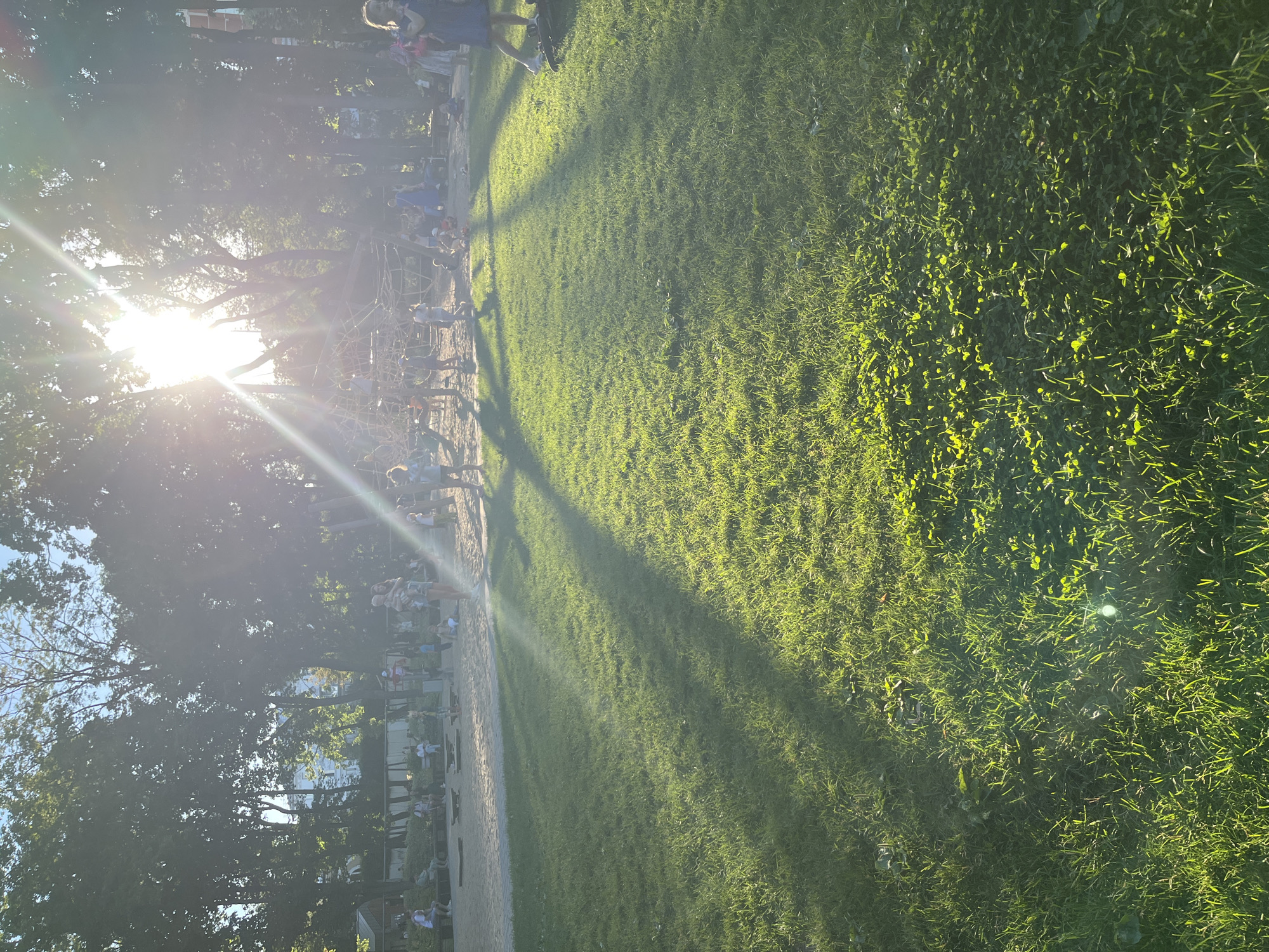 The image captures a sun-drenched playground scene, likely in Novaya Usman', Russia, bathed in the warm glow of late afternoon sun. The sun's rays pierce through the lush green canopy of mature trees, casting long, dappled shadows across a well-maintained grassy area in the foreground. In the mid-ground, a sandy playground is visible, complete with a climbing structure made of ropes and netting, sandboxes, and benches. Several individuals, predominantly children, are engaged in various activities within the playground. Some children are climbing the rope structure, while others are playing in the sand or being supervised by adults. A woman carrying a child is standing in the mid-ground, facing the viewer. Other adults are seated on benches or standing around the periphery of the playground, observing the children. The overall atmosphere is one of a relaxed, community-oriented outdoor space, typical of a park or a public recreational area. The bright sunlight creates lens flares and highlights, adding to the idyllic and serene quality of the scene.
