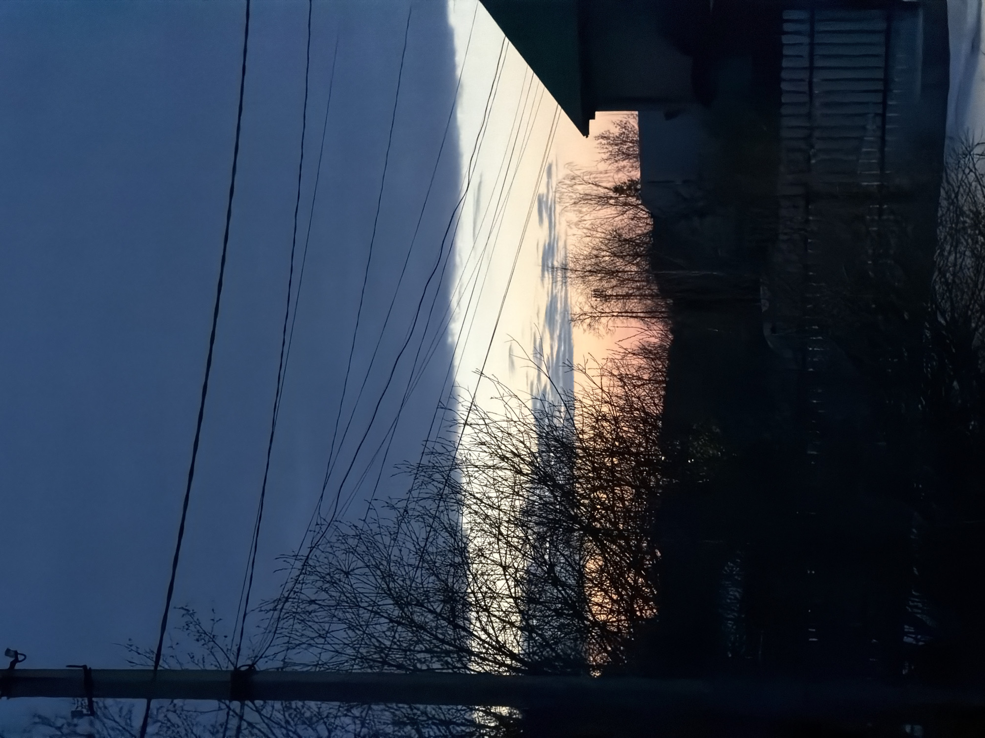 The image shows a sunset scene in what appears to be a residential area of Chaikovsky, Russia. In the foreground are silhouetted bare branches of trees and shrubs against a sky that transitions from dark blue on the left to a gradient of pale orange and pink near the center where the sun is setting. Utility lines are visible stretching across the sky from a pole in the lower left. To the right, dark shapes suggest buildings and fences, possibly part of a residential structure. The image is taken from a slightly low angle, looking upwards.