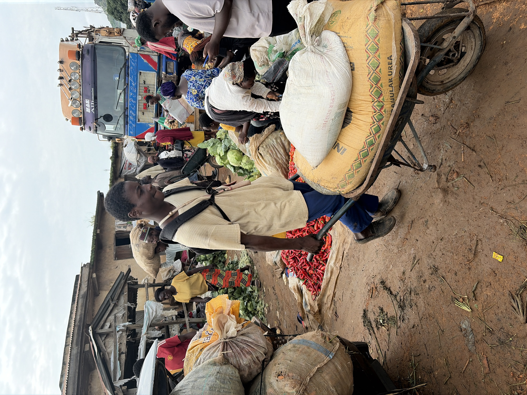 A young Black male is pushing a wheelbarrow loaded with two large sacks of agricultural produce, likely fertilizer, through a bustling outdoor market in Gura Top, Nigeria. The wheelbarrow, made of metal with a single wheel, is filled with a large yellow sack, on top of which rests a white sack. The yellow sack is marked with a repeating diamond pattern in green and red, and the words "GRANULAR UREA" are visible. The young man wears a light brown short-sleeved shirt and blue trousers, with dark shoes. His expression is focused as he navigates the muddy, uneven ground, which is strewn with debris, including plant matter and plastic.
In the background, other market-goers are visible. To the left, a large truck with an orange cab and blue and red detailing is parked, suggesting a point of arrival or departure for goods. Several individuals are tending to stalls, organizing produce like red peppers and cabbages, or carrying sacks. A woman in a yellow top and patterned skirt is walking away from the camera, while another woman in a red garment and headscarf is interacting with someone near the truck. The market appears to be set up under a cloudy sky, with rudimentary structures and stalls constructed from wood and corrugated metal providing shade. The overall scene depicts a vibrant, active marketplace engaged in the trade of agricultural goods.